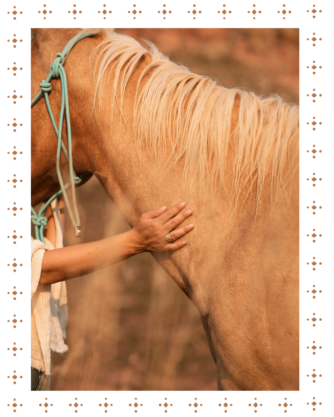 Person's hand petting a light brown horse with a blonde mane outdoors.