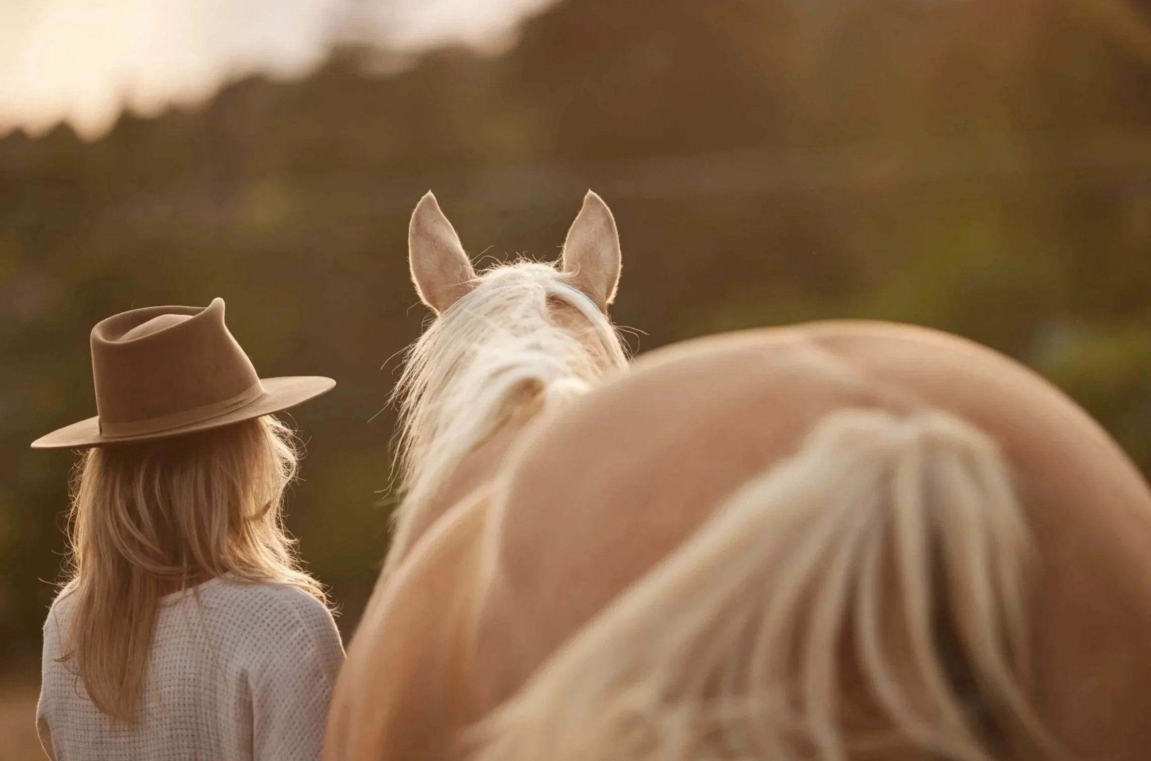 processed_SarahHollinsheadRanch_CJ_498 (1).jpg