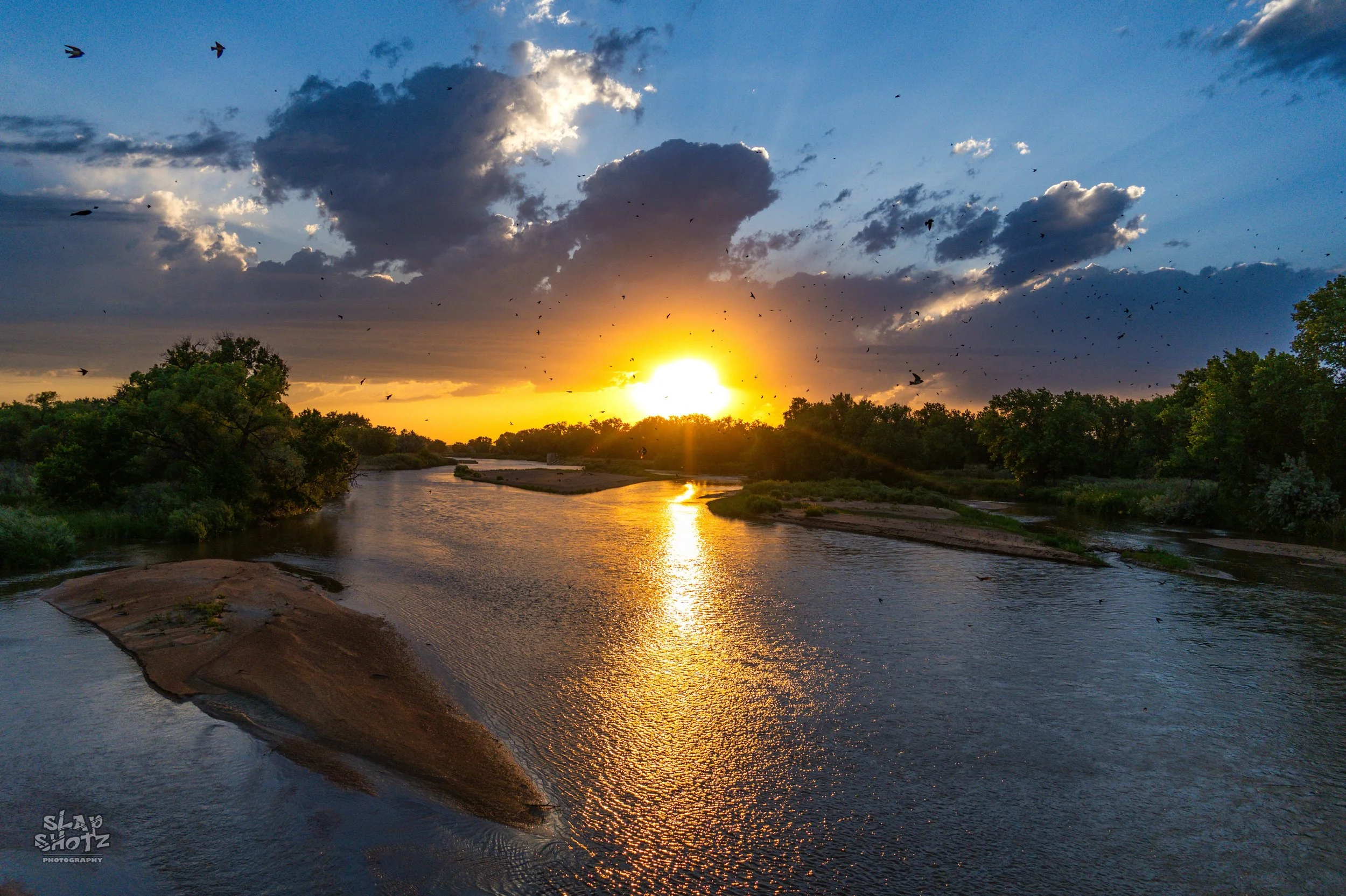 sunst birds.JPG