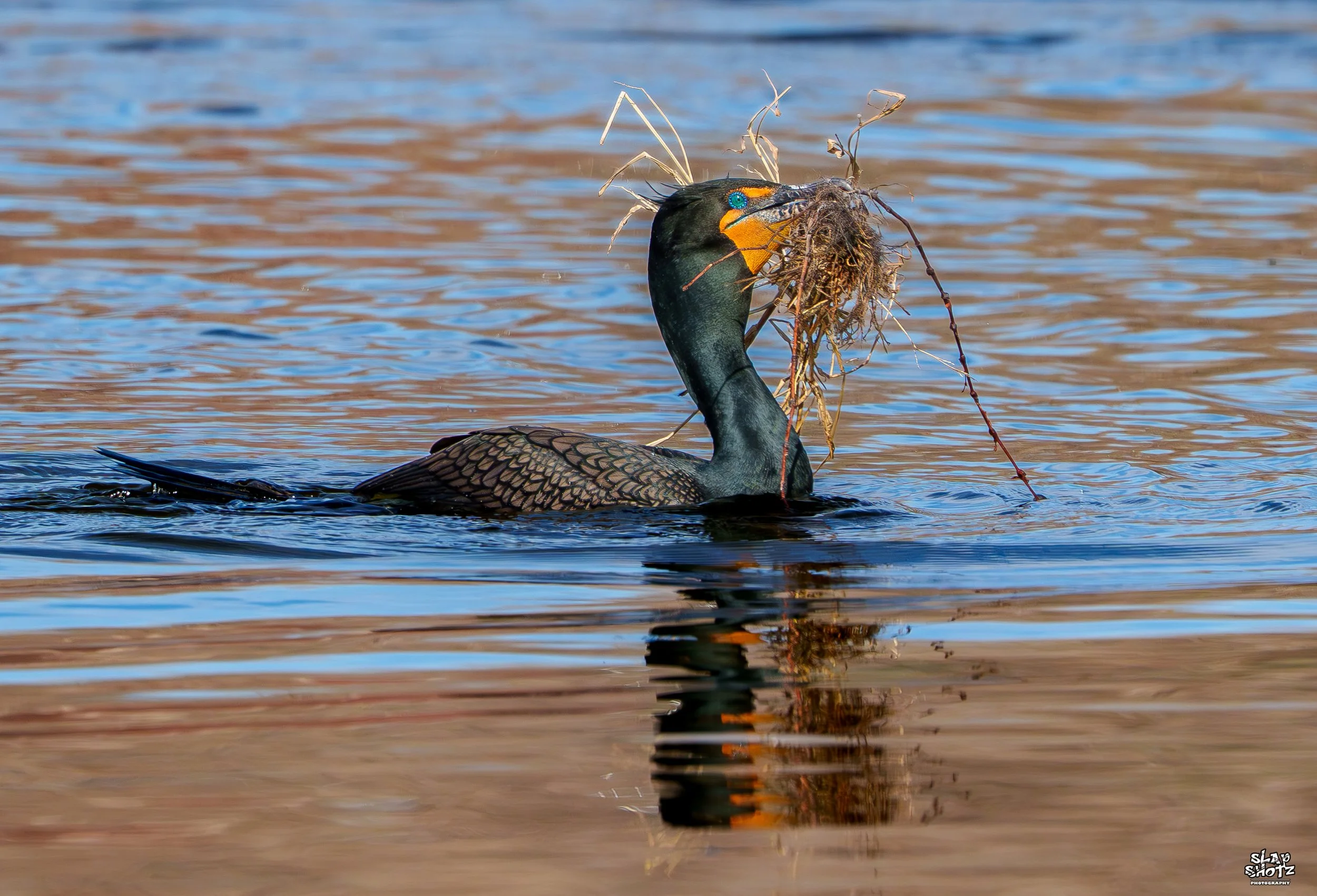 (Upload-from-mobile-1774816905)nest slap.jpeg