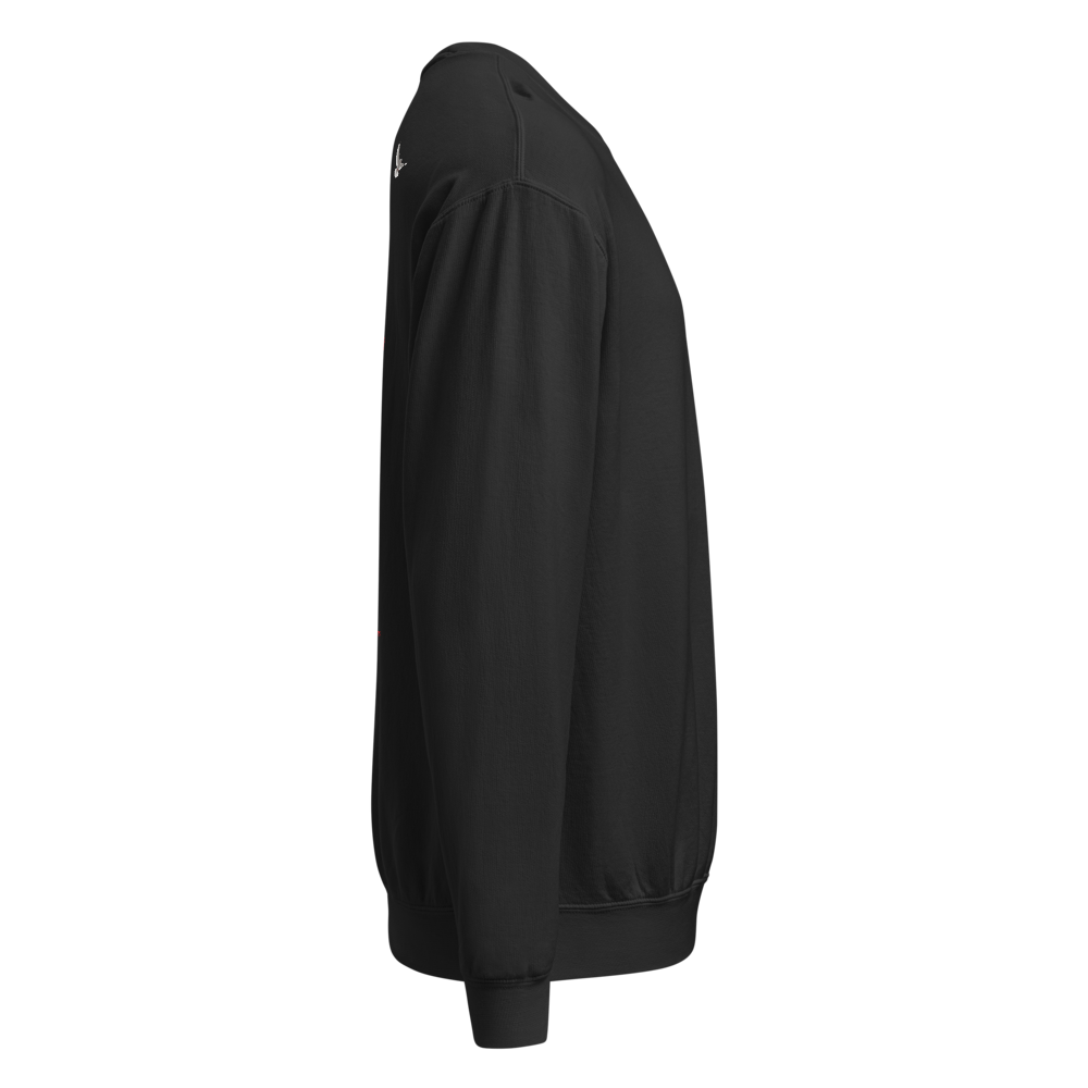 unisex-garment-dyed-lightweight-fleece-crewneck-sweatshirt-i-comfort-colors-1466-black-right-69b352b21b299.png