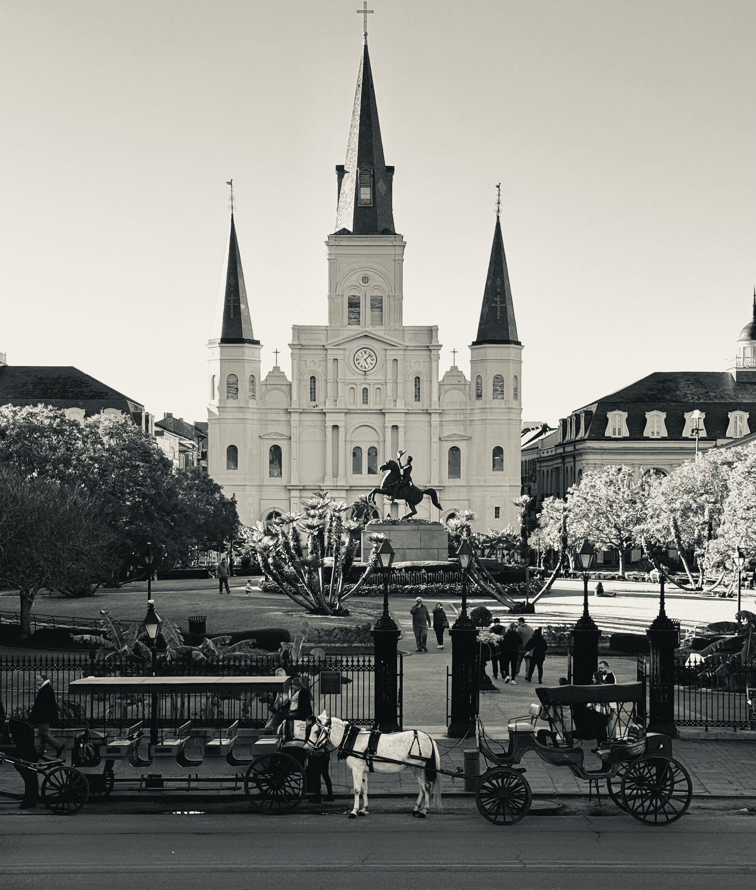 New Orleans - Nikon FG 2025
