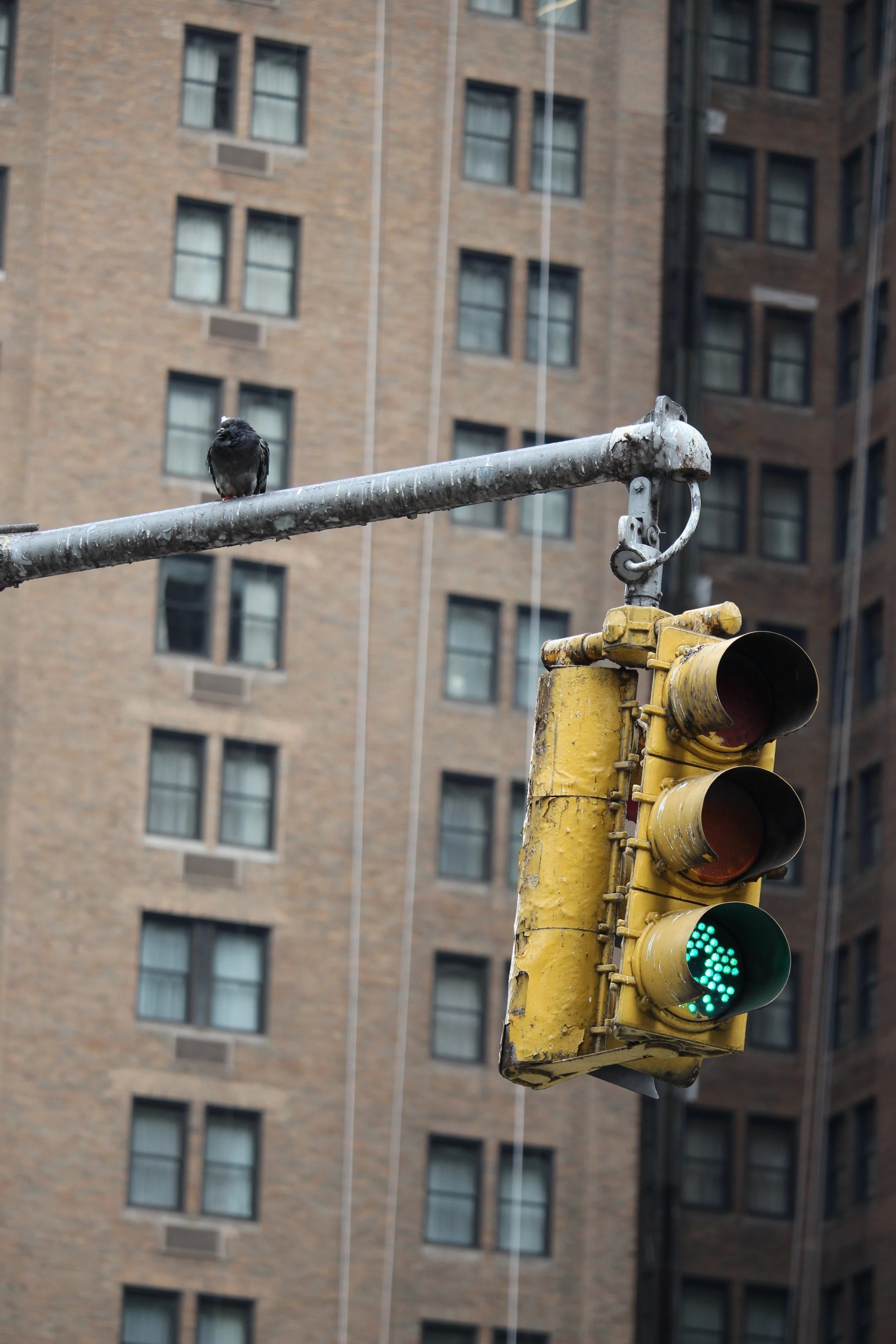 NYC - 2025 - Unedited - Canon 700D