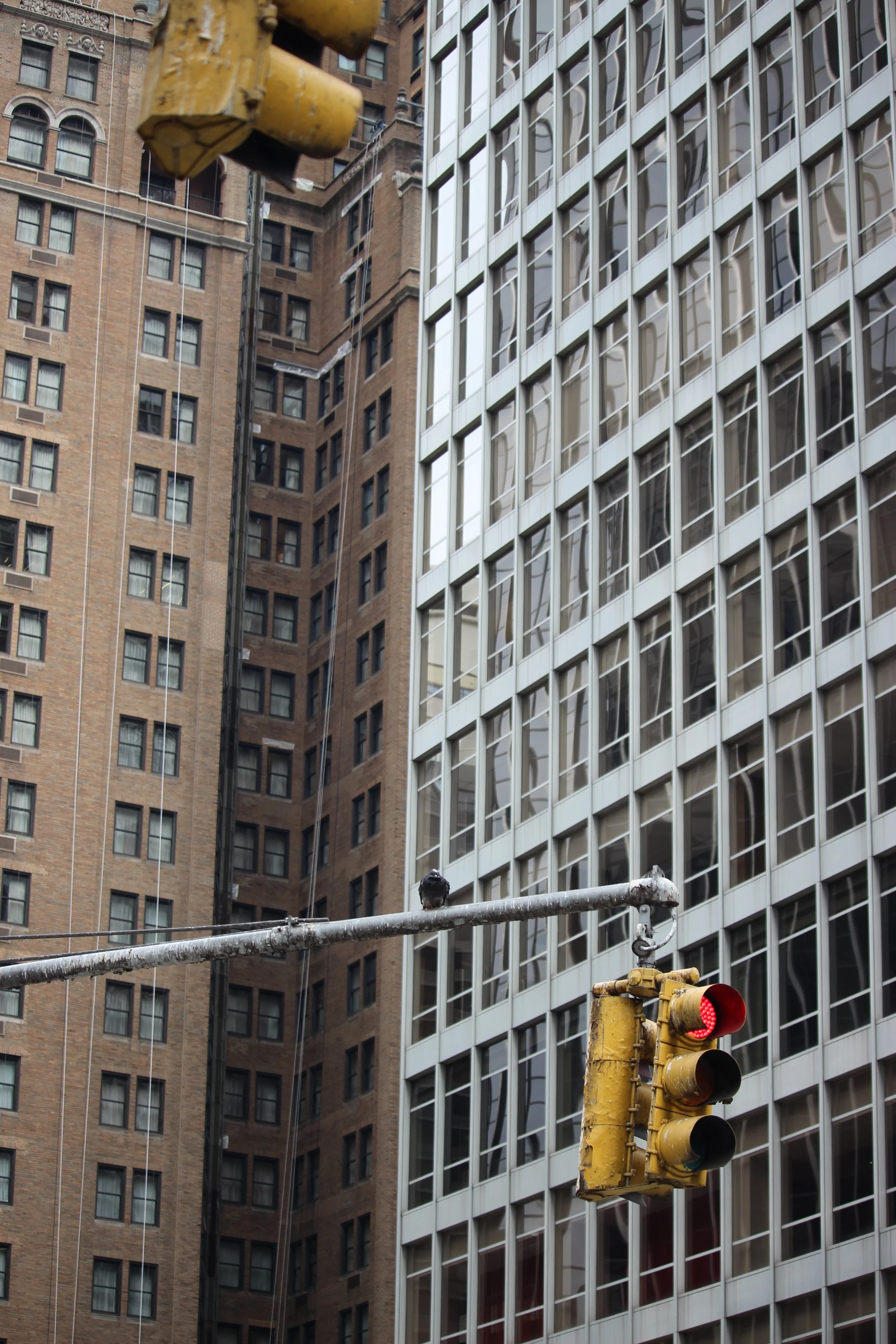 NYC - 2025 - Unedited - Canon 700D