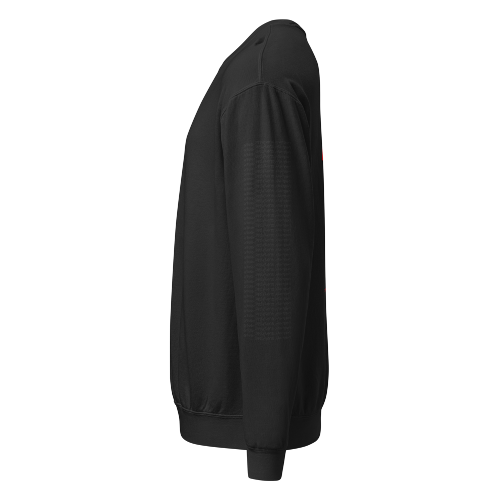 Monumentum Immigranti Sweater