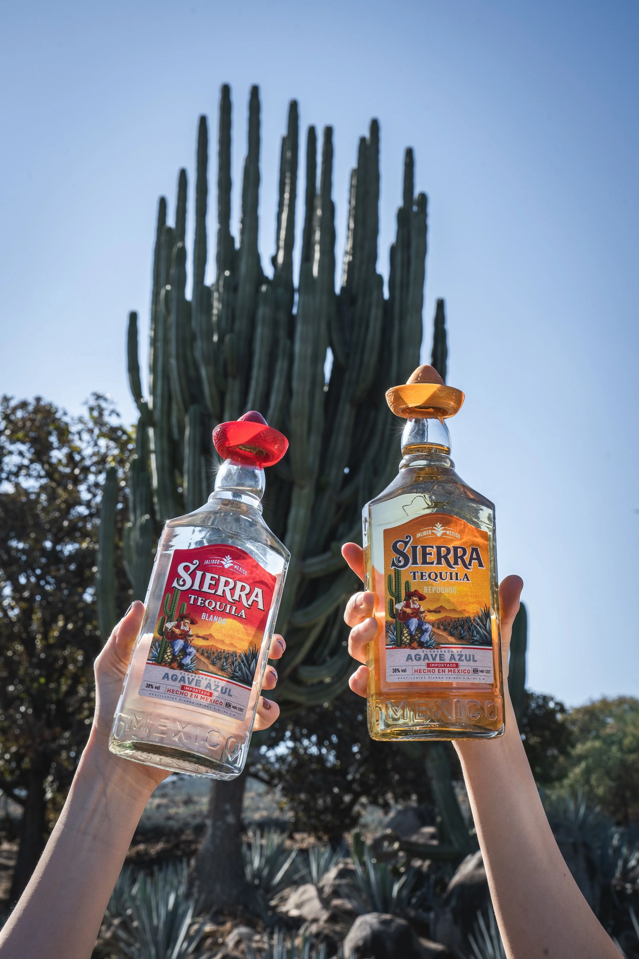 Two hands holding bottles of Sierra tequila in front of a tall cactus and desert landscape.
