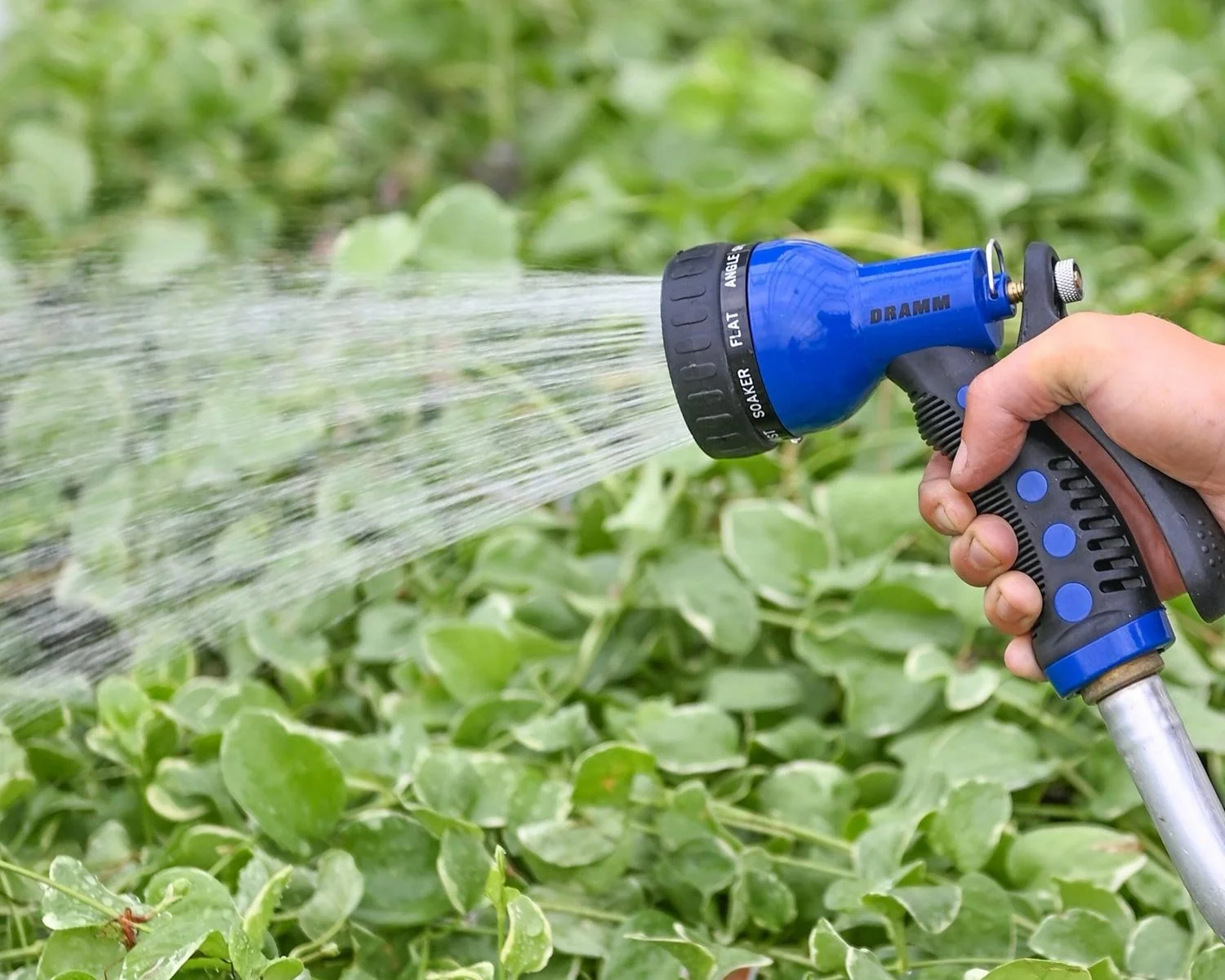 DRAMM-Sprayer.jpg