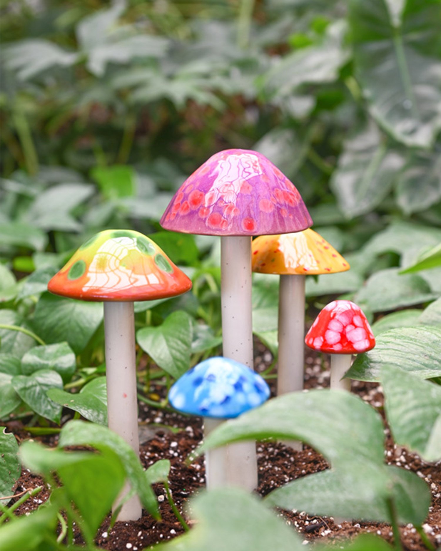 Mushrooms.jpg