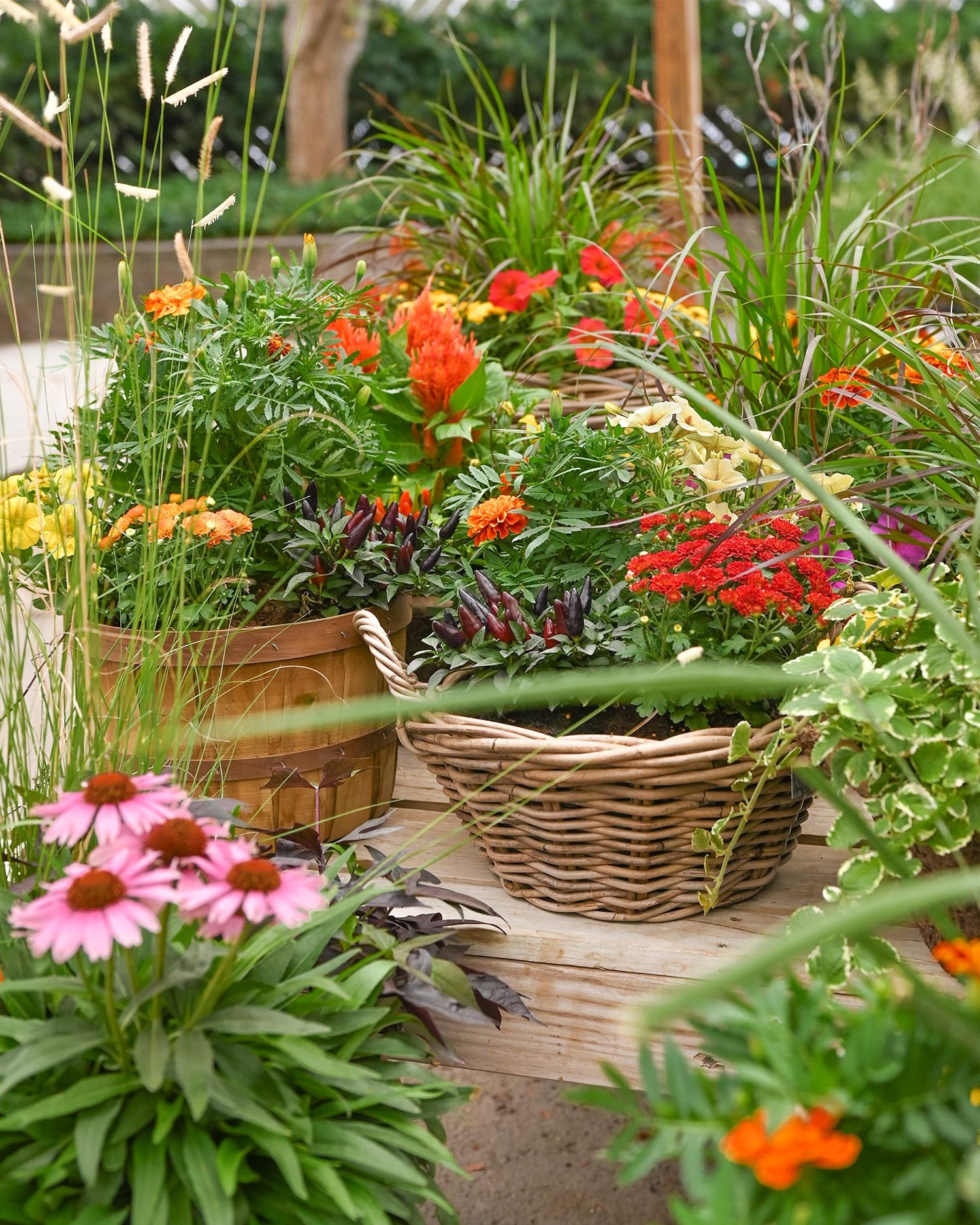 Fall-Baskets-2.jpg