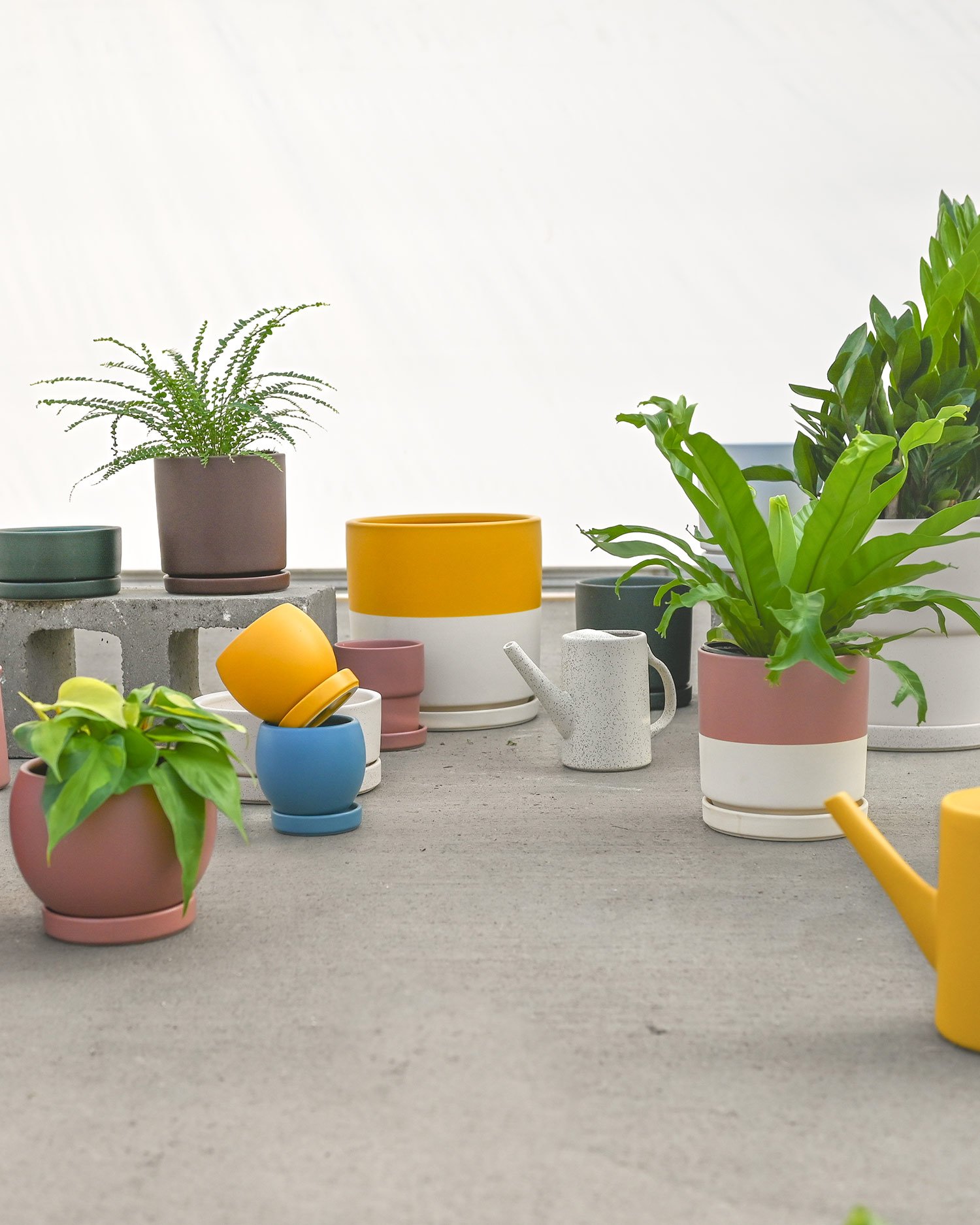 Momma-Pots.jpg