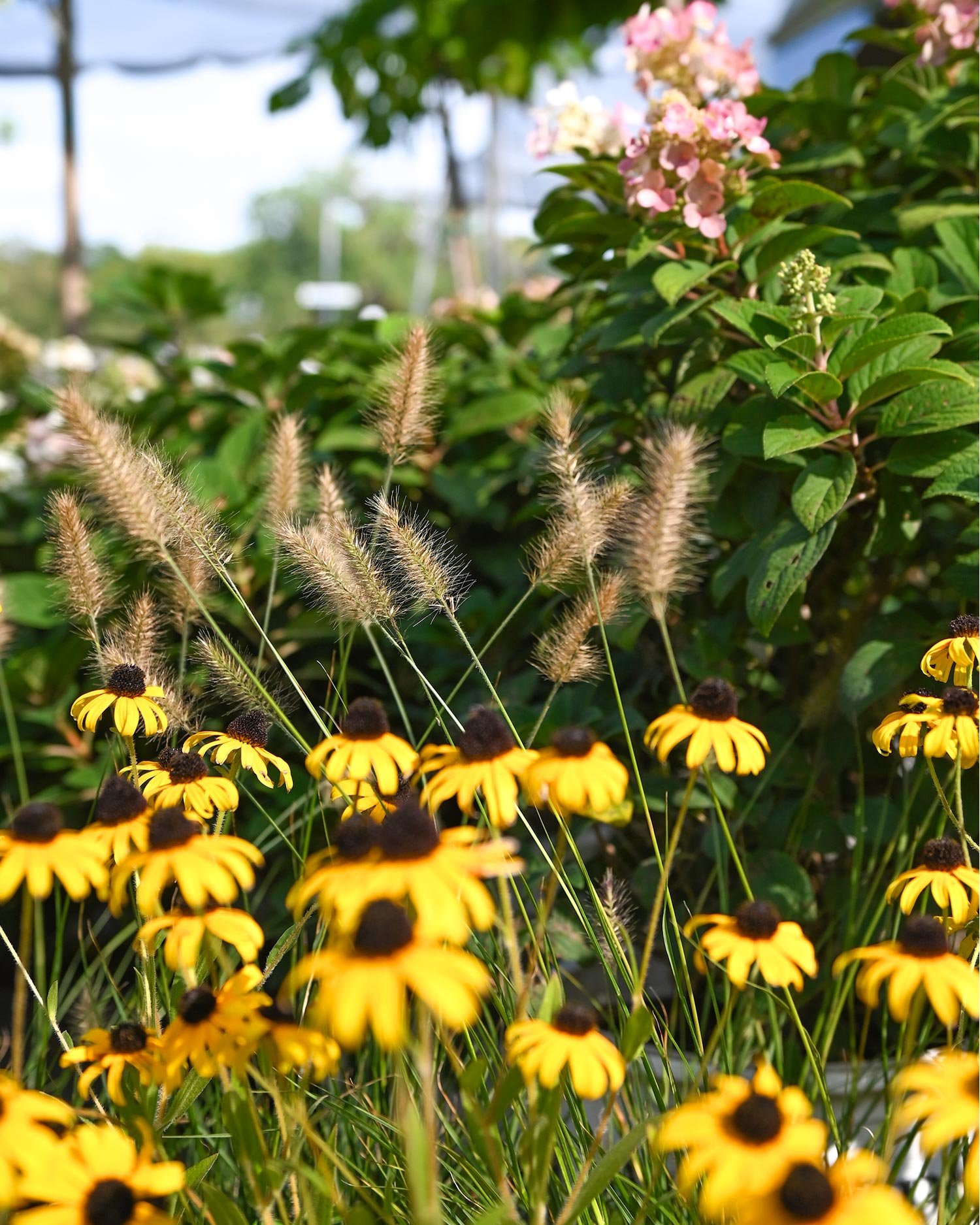 Nursery-Yard.jpg