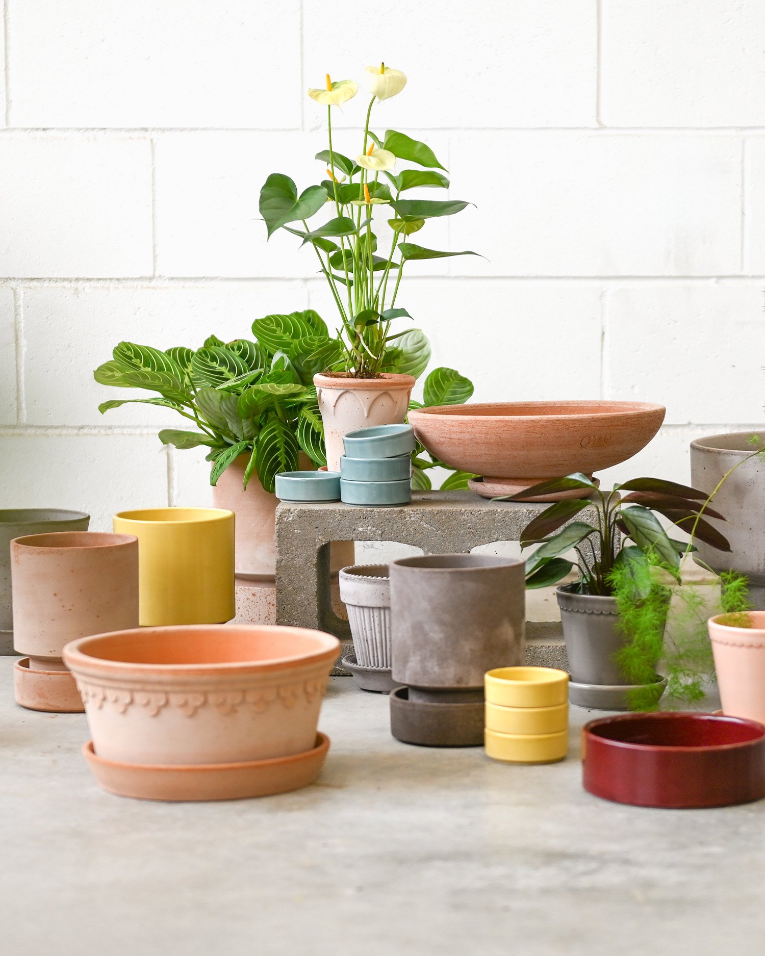 Bergs-Pottery-2.jpg