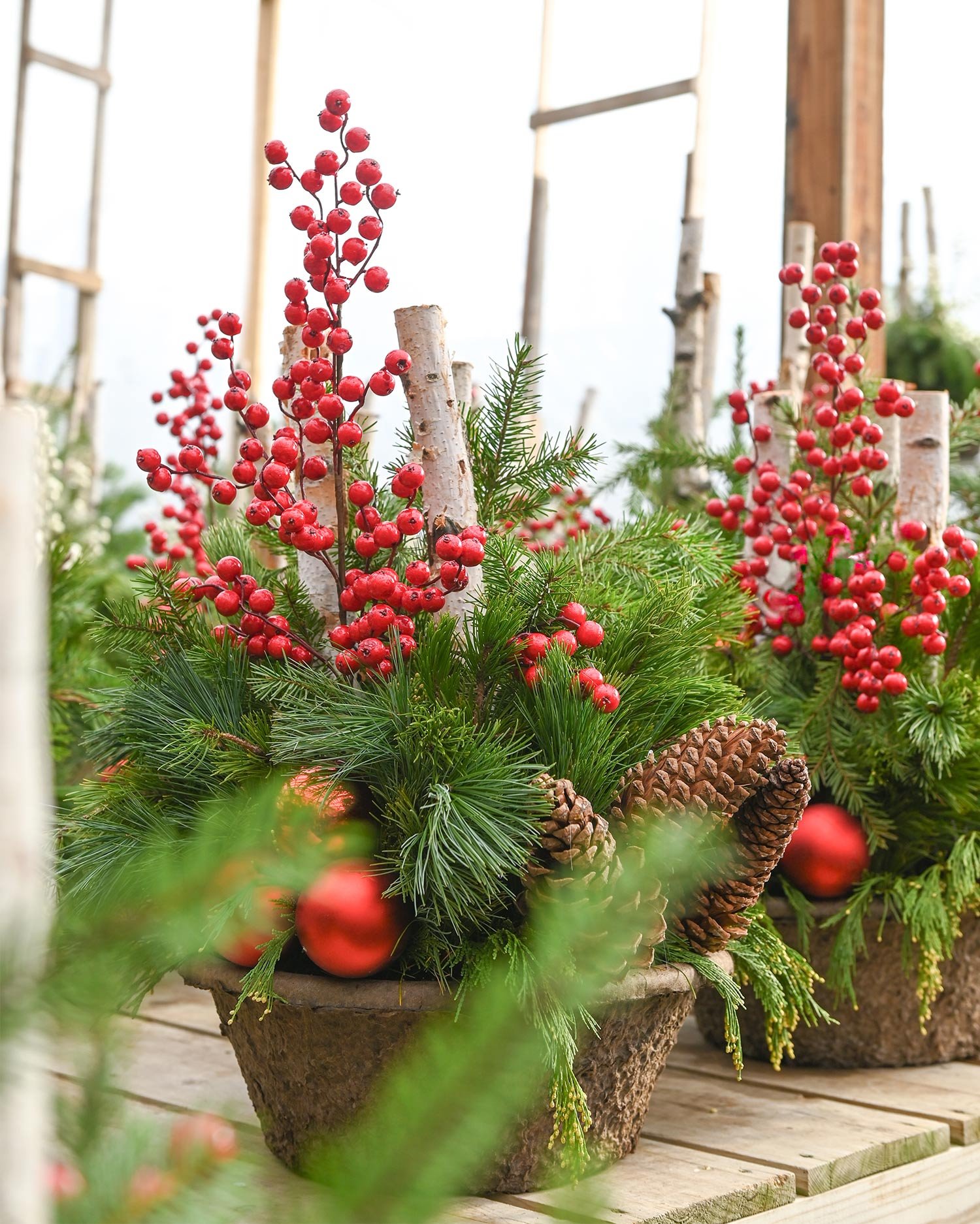 Wintergreen-Containers.jpg