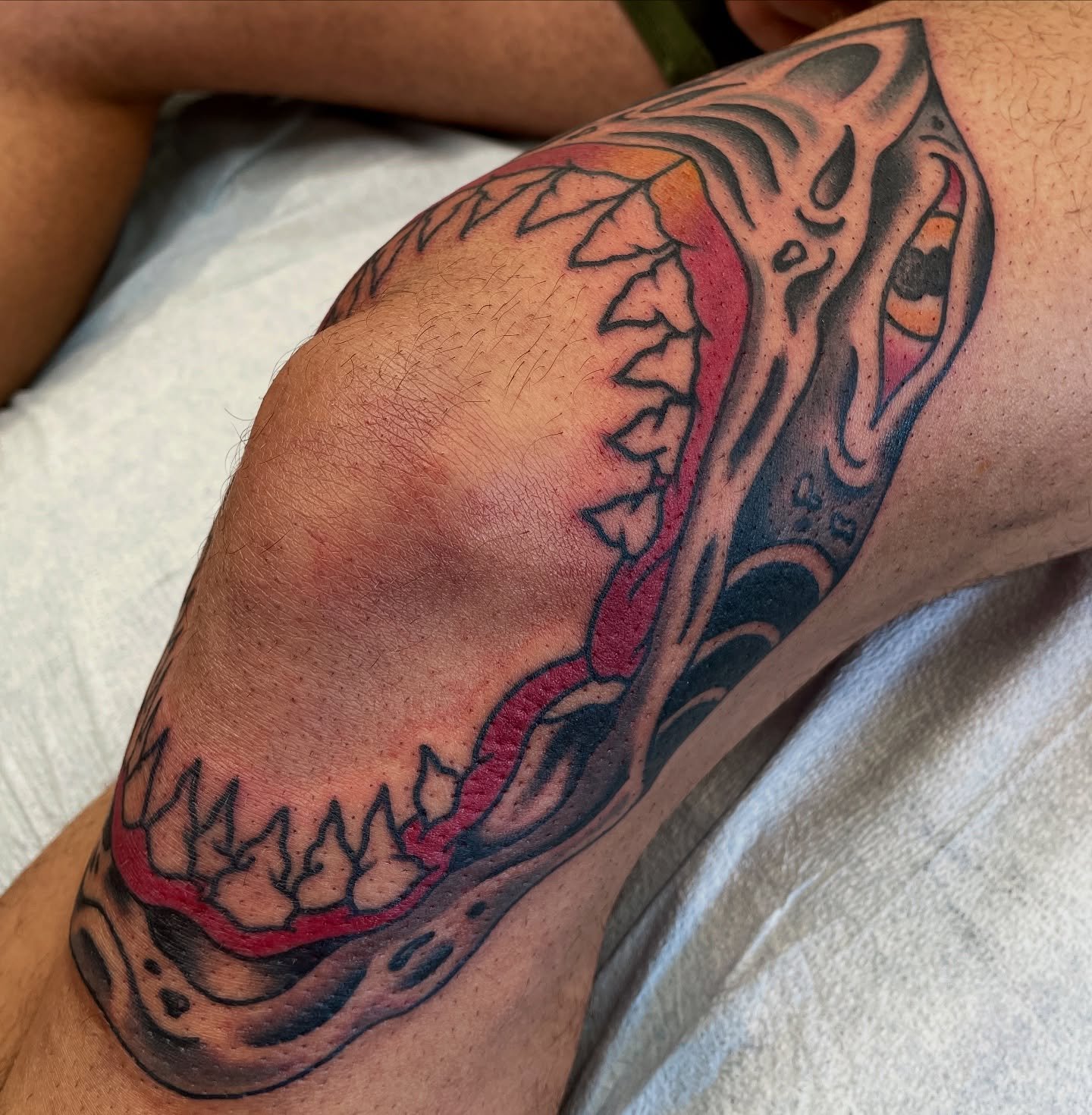Shark around the knee, always down for knee bangers! Email me for appointments, check my scheduling highlight for details