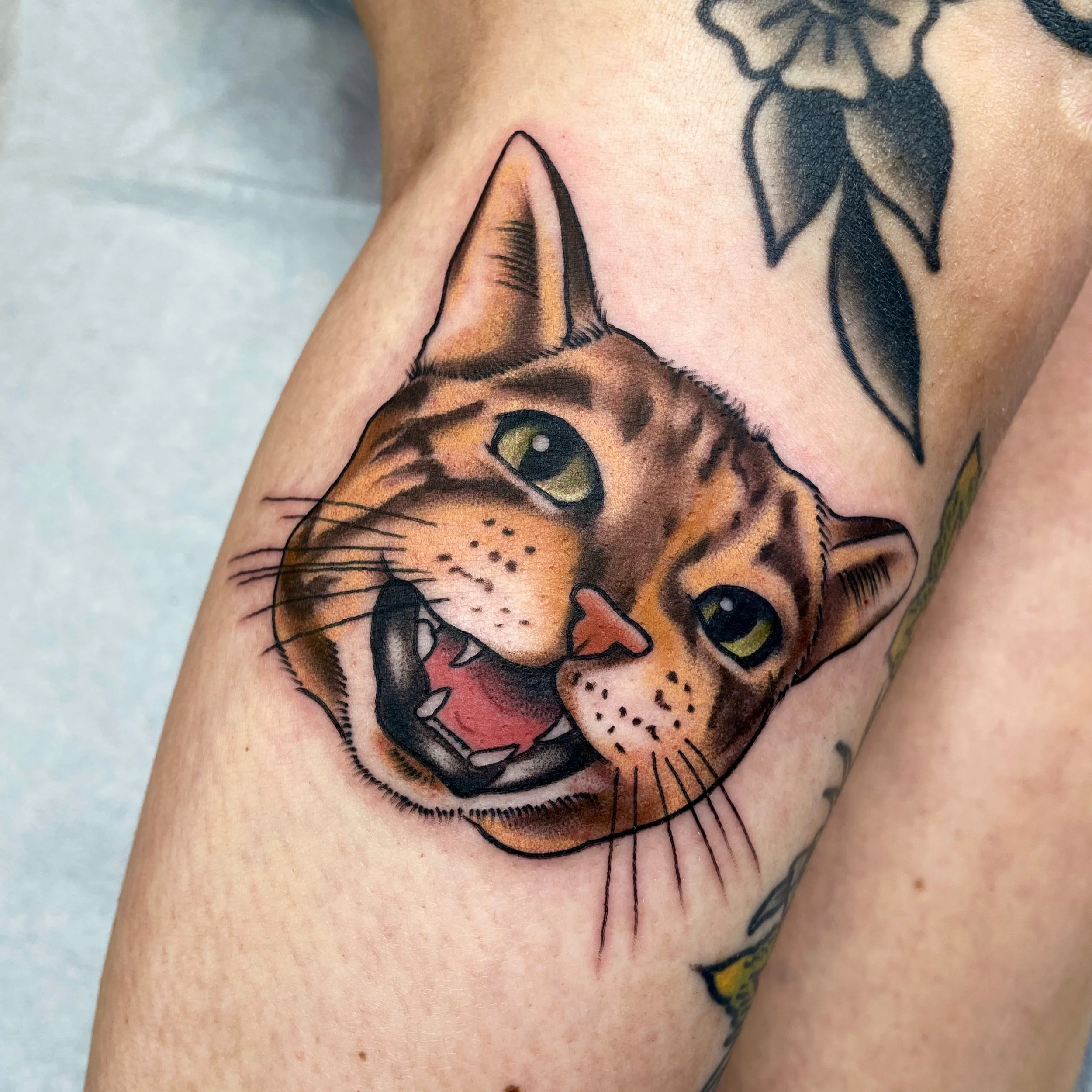 I didn&rsquo;t realize how far behind I am with posting! Grateful to be staying busy lately, I appreciate you all that trust me with your tattoos, especially the pet portraits of those that have passed on. RIP Bella, a smol but loud, feisty girl that