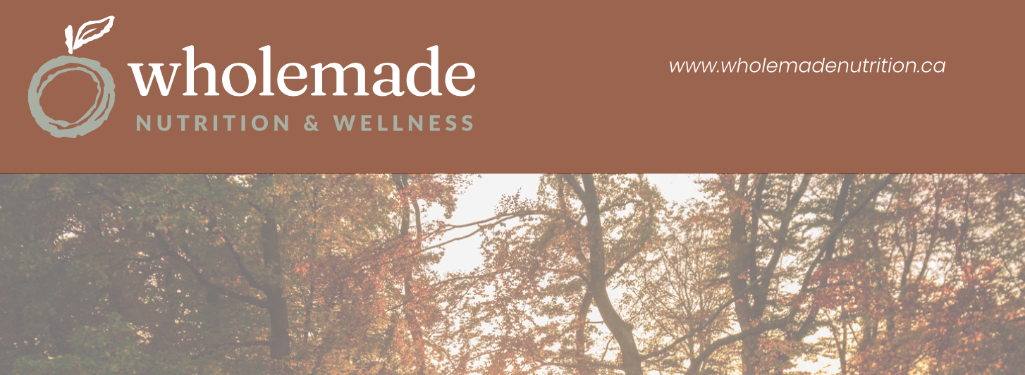 Fall Equinox Newsletter