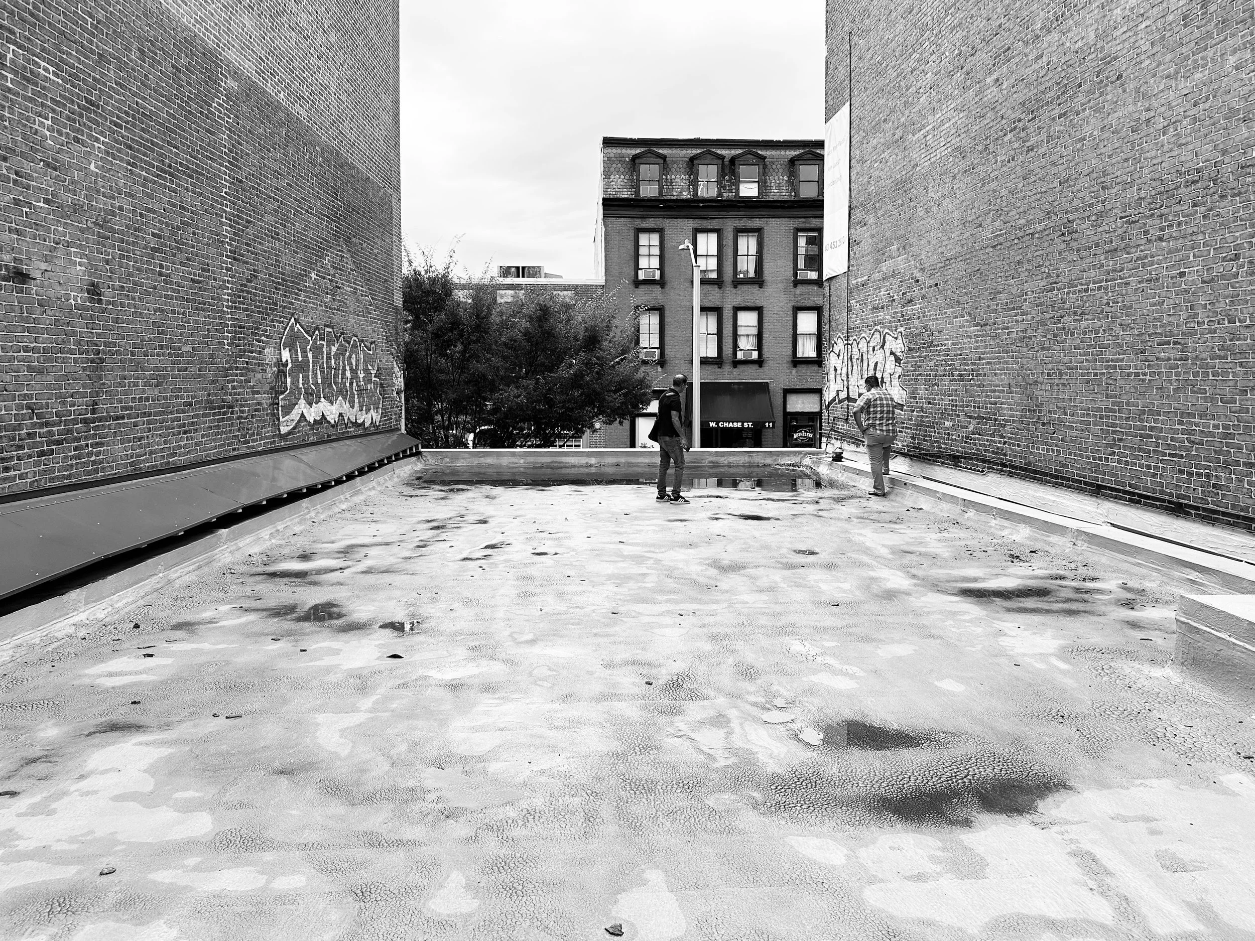 Future Medicinal Garden