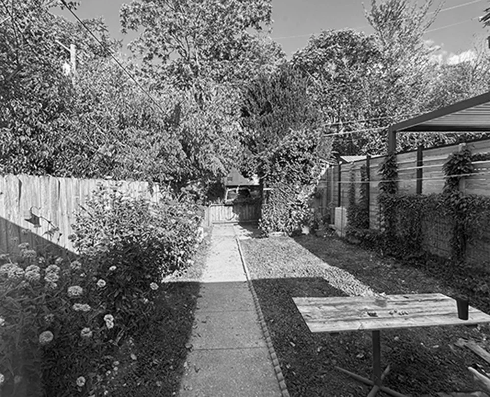 Existing Conditions, back patio