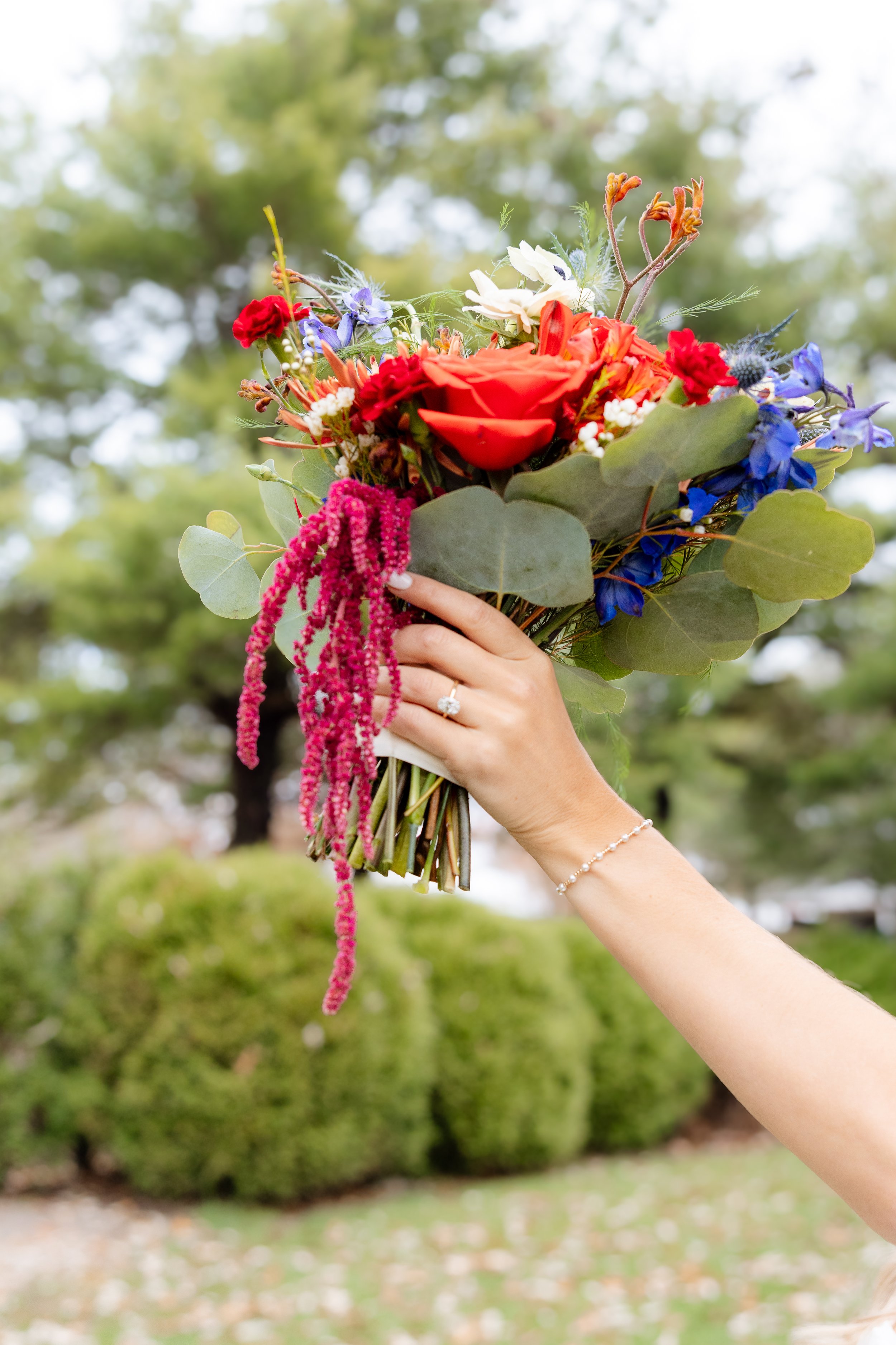 Sugar Maple Photo-19.jpg