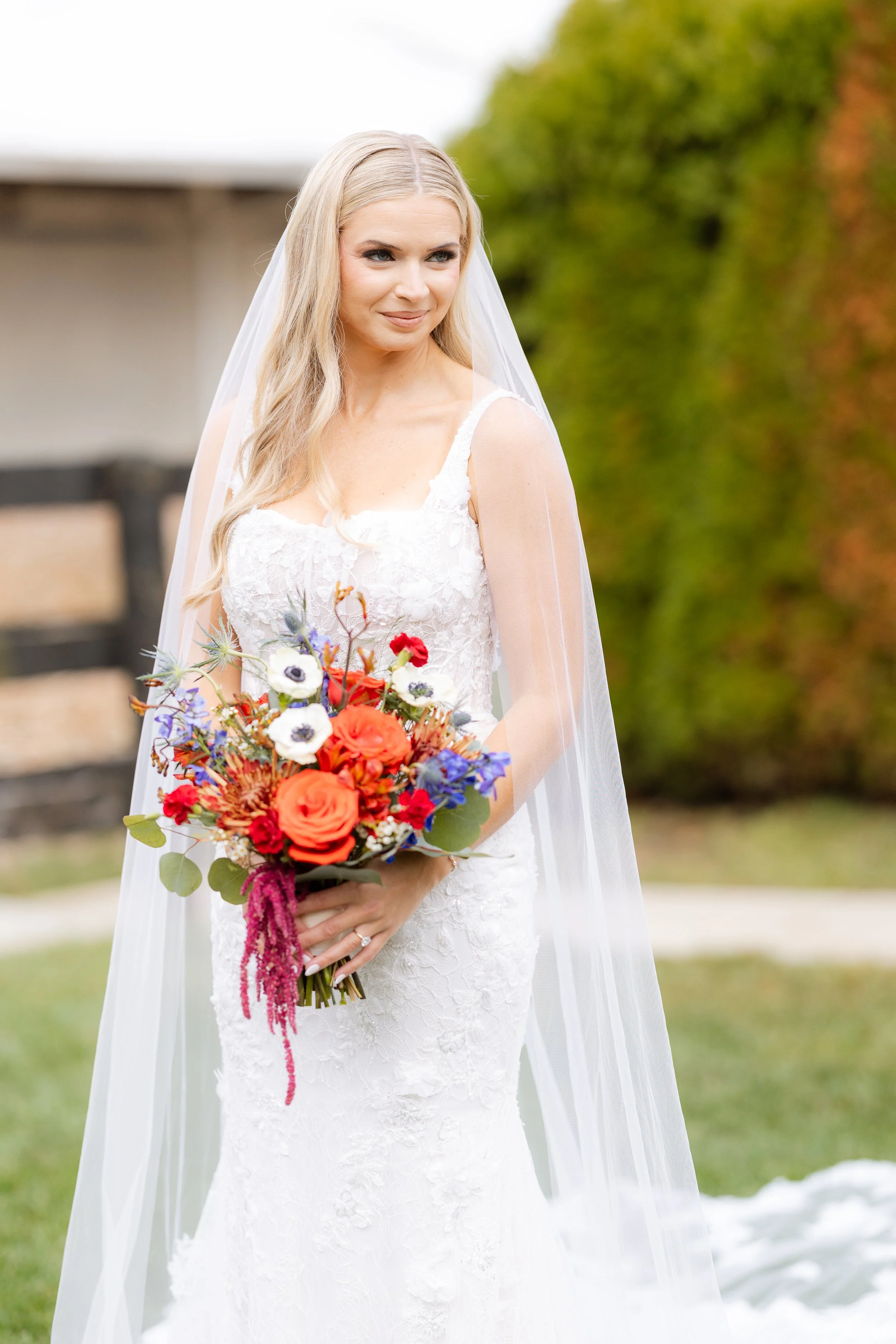 Sugar Maple Photo-17.jpg