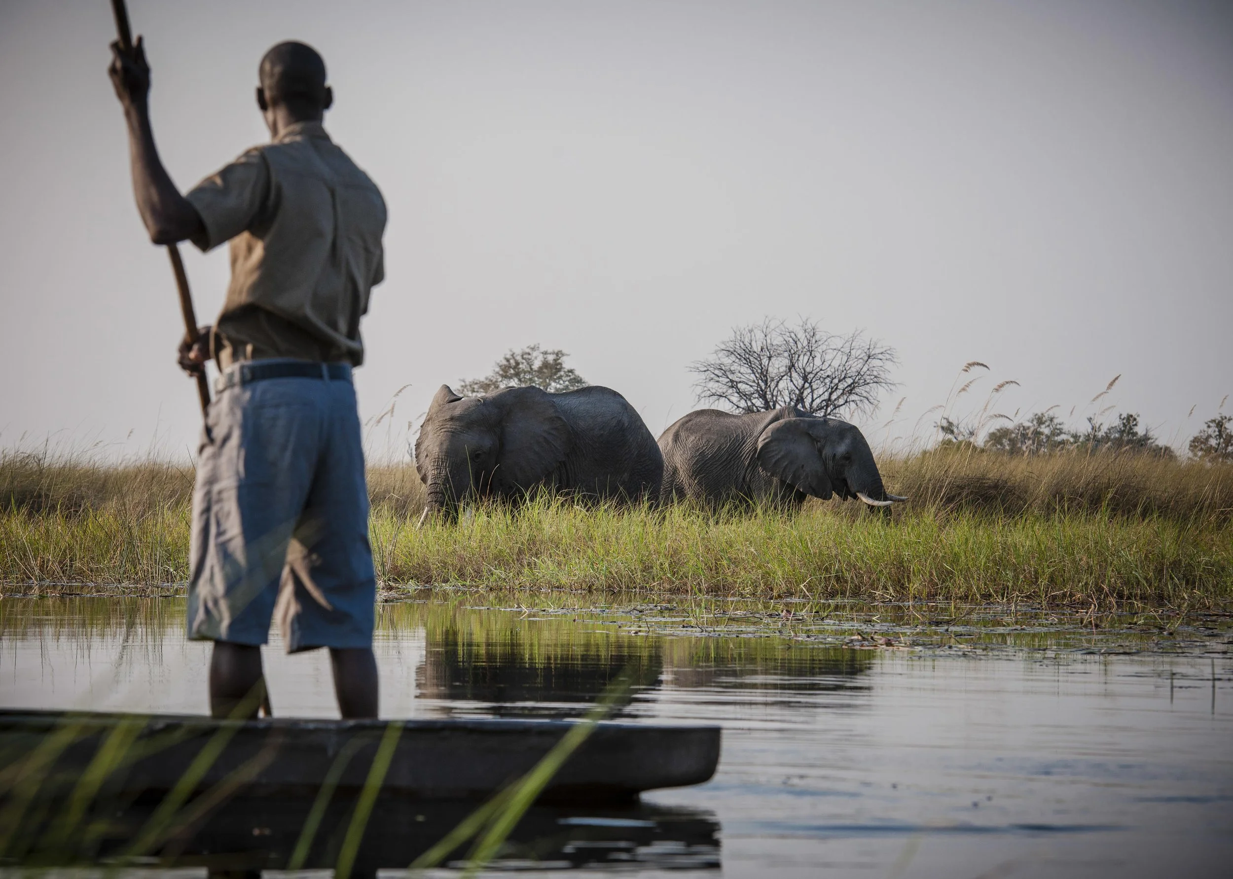 First-Time Safari Magic in the Okavango Delta 6.jpg