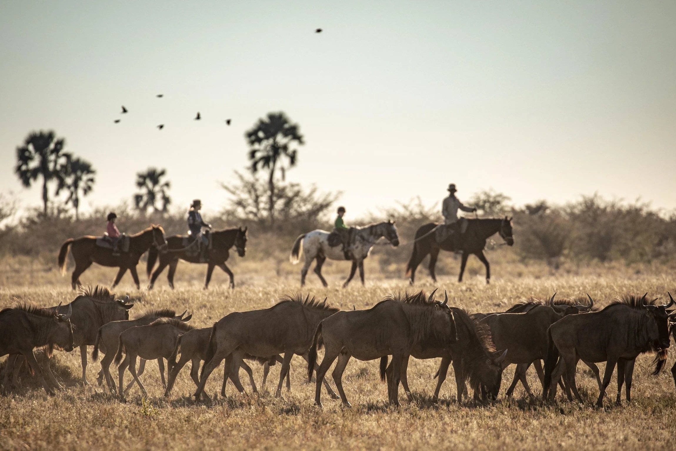 Riding the Salt Pans
