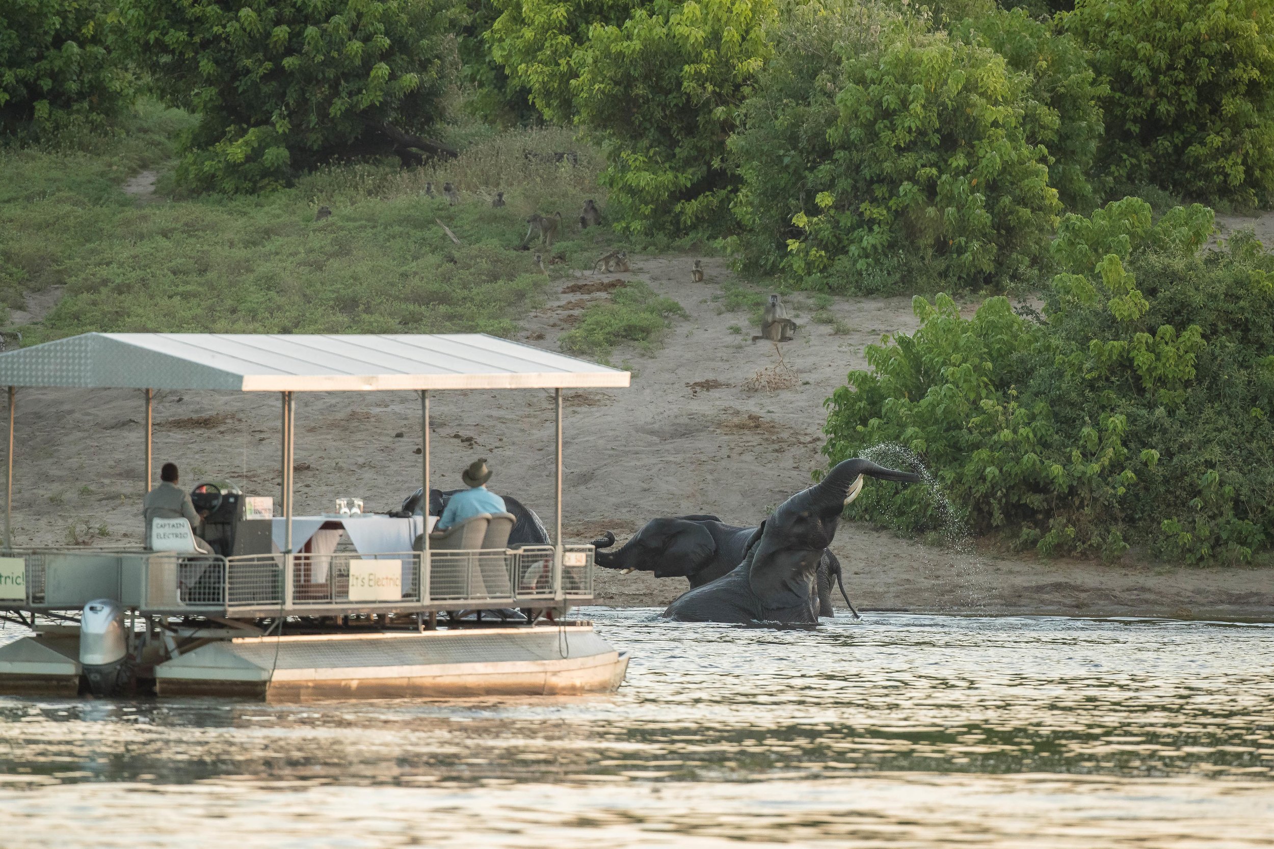 Chobe Boat Cruise 3.jpg
