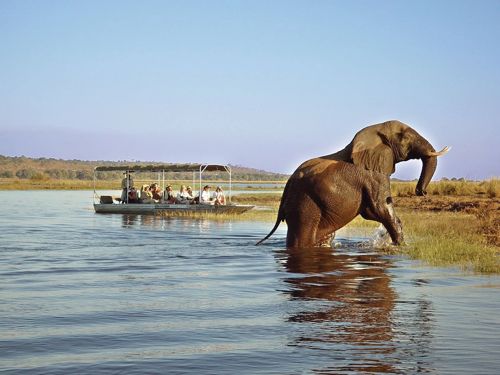 Chobe_Safari_Lodge_Game_Cruise.jpg