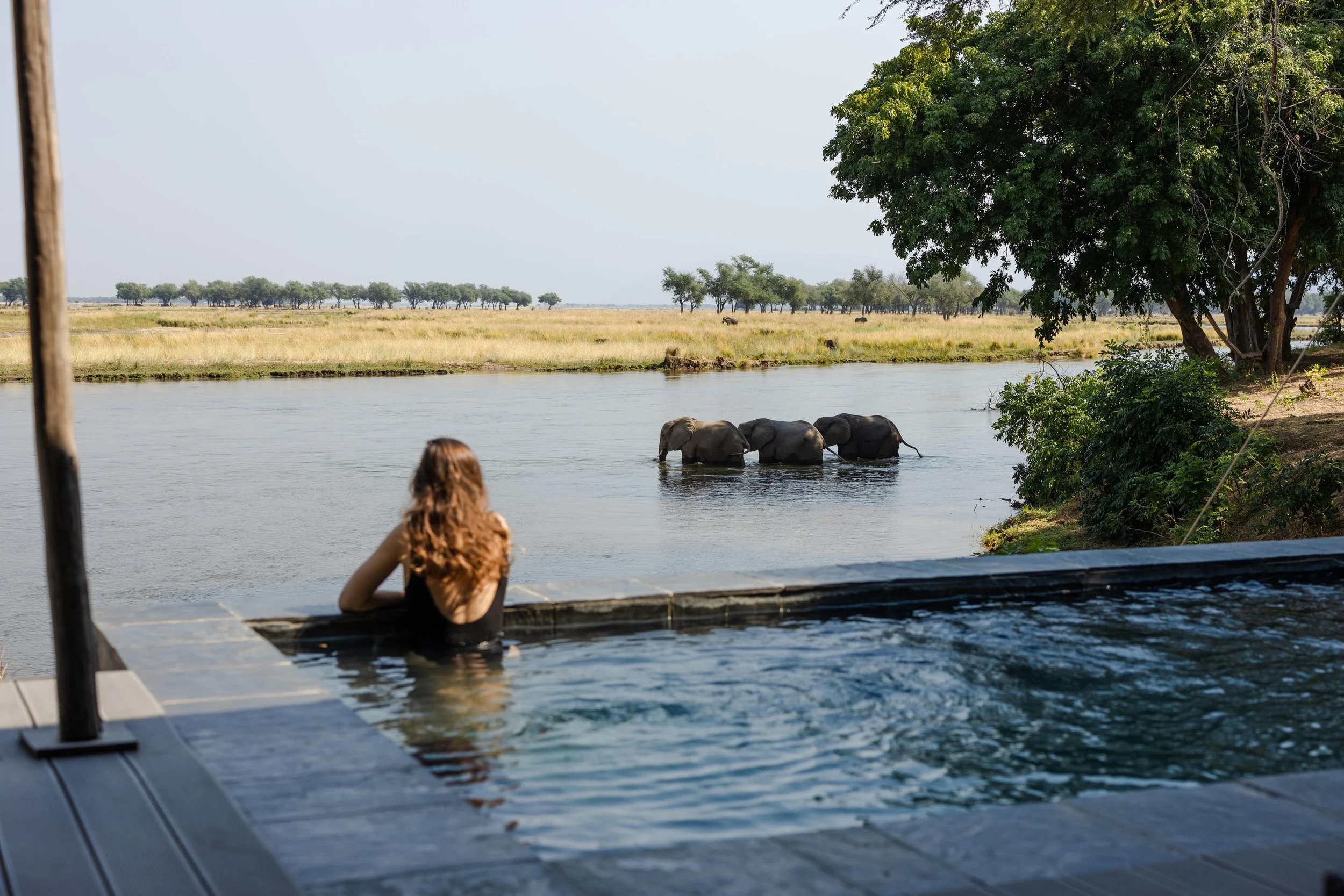 Sausage Tree Swims.jpg