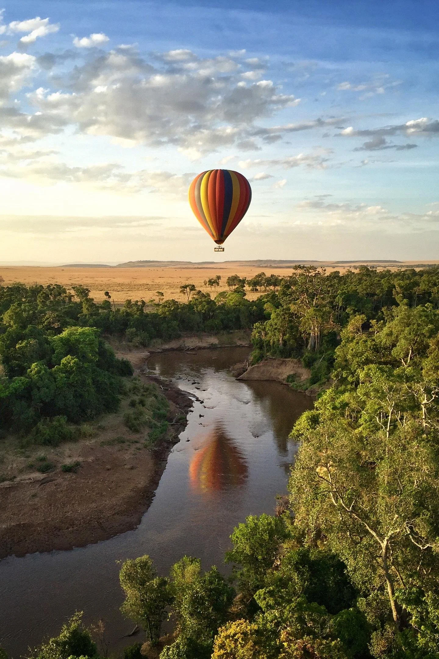 governors_balloon_safaris_1.jpg