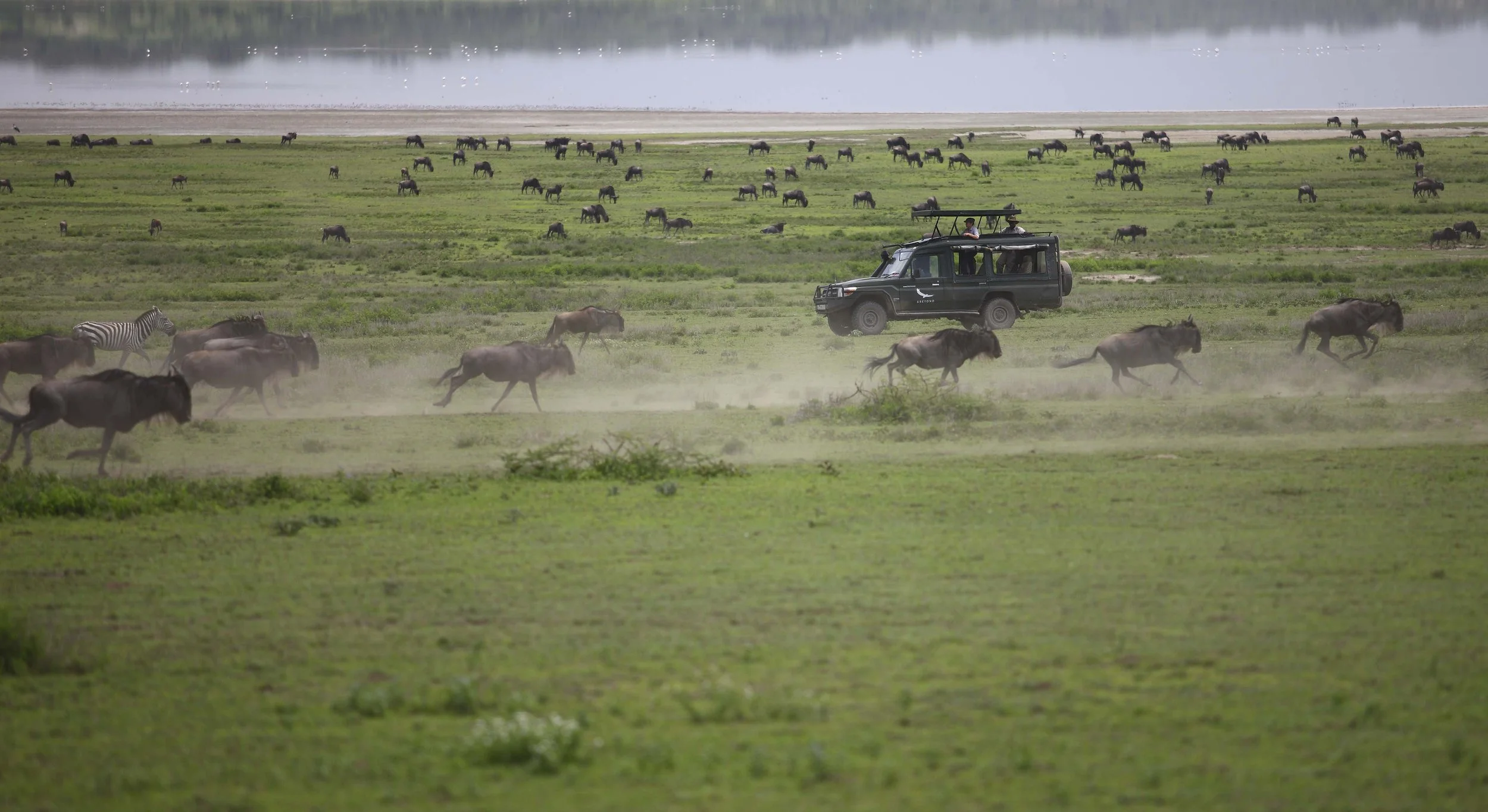 Serengeti_UC_2014-105.jpg