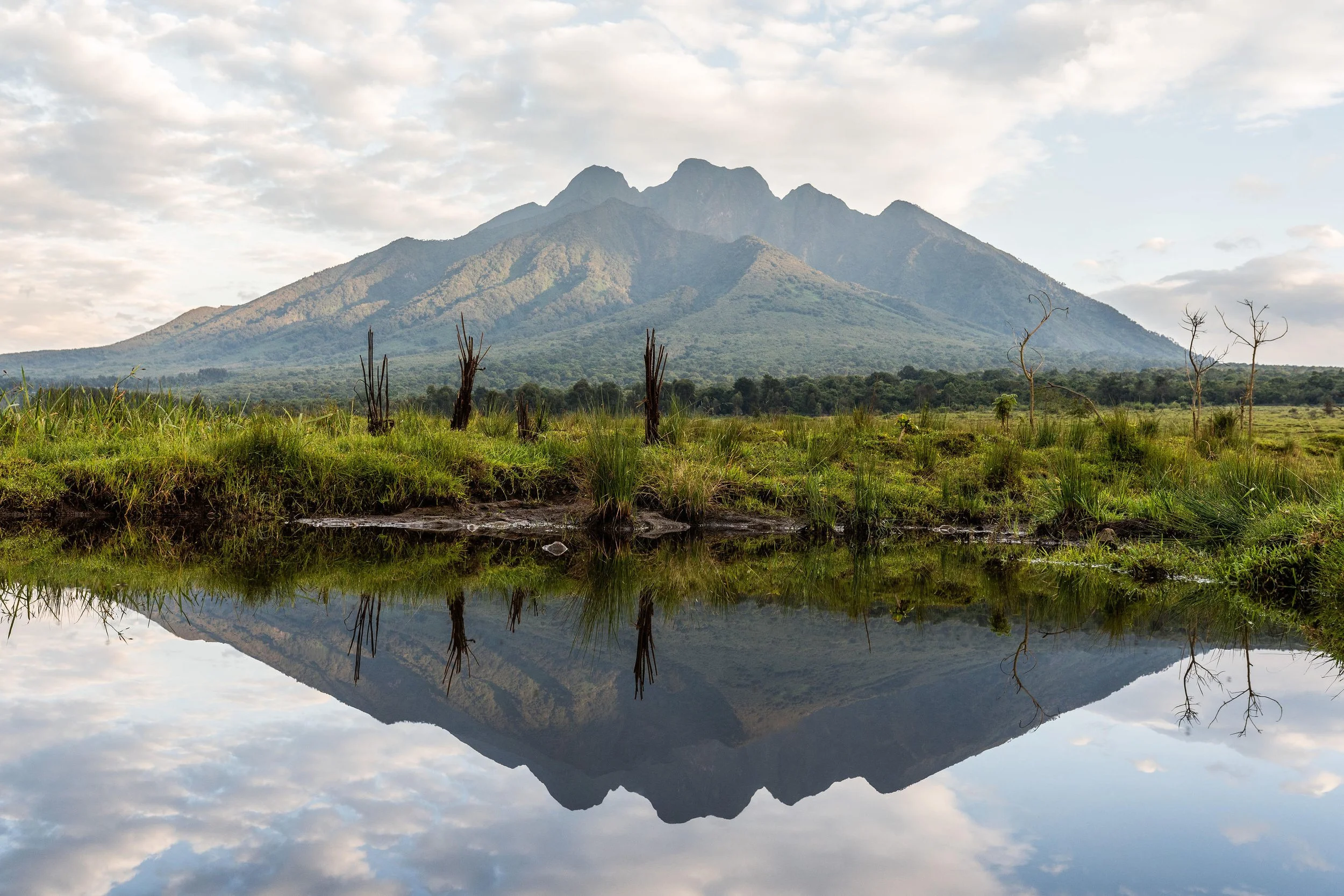 svnp_volcanoes_national_park_landscape_blackbean_4.jpg