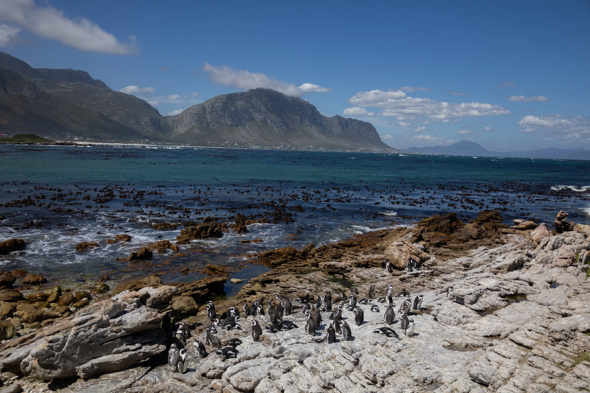 AfricaNow Safaris-130.jpg