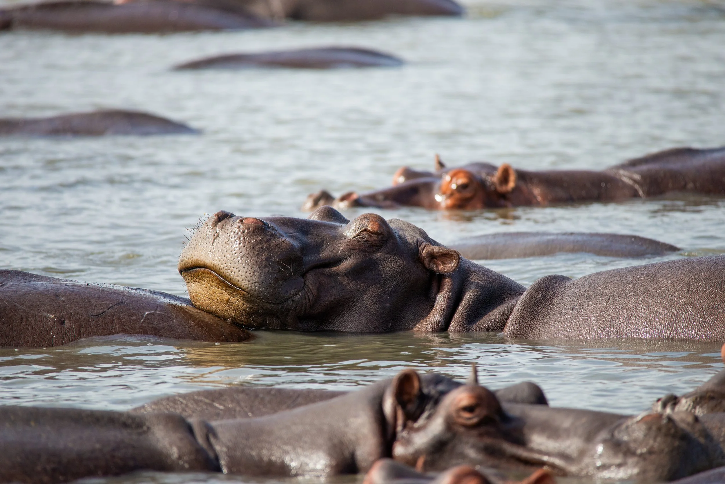 Kruger National Park - what a place!