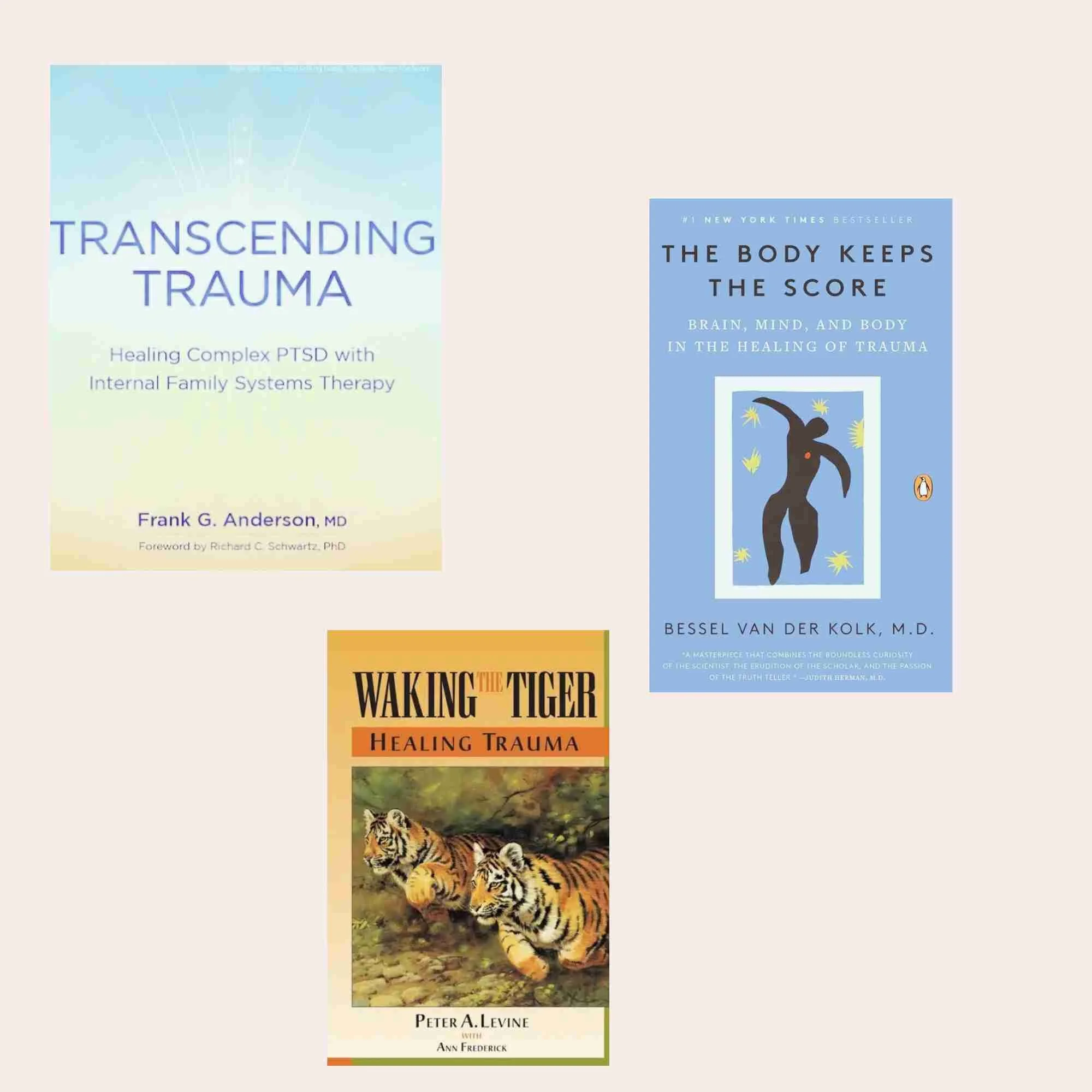 Three books on trauma healing and therapy. The first book is titled 'Transcending Trauma' by Frank G. Anderson, MD. The second book is titled 'The Body Keeps the Score' by Bessel Van Der Kolk, M.D. The third book is titled 'Waking the Tiger: Healing Trauma' by Peter A. Levine with Ann Frederick, featuring an illustration of two tigers.