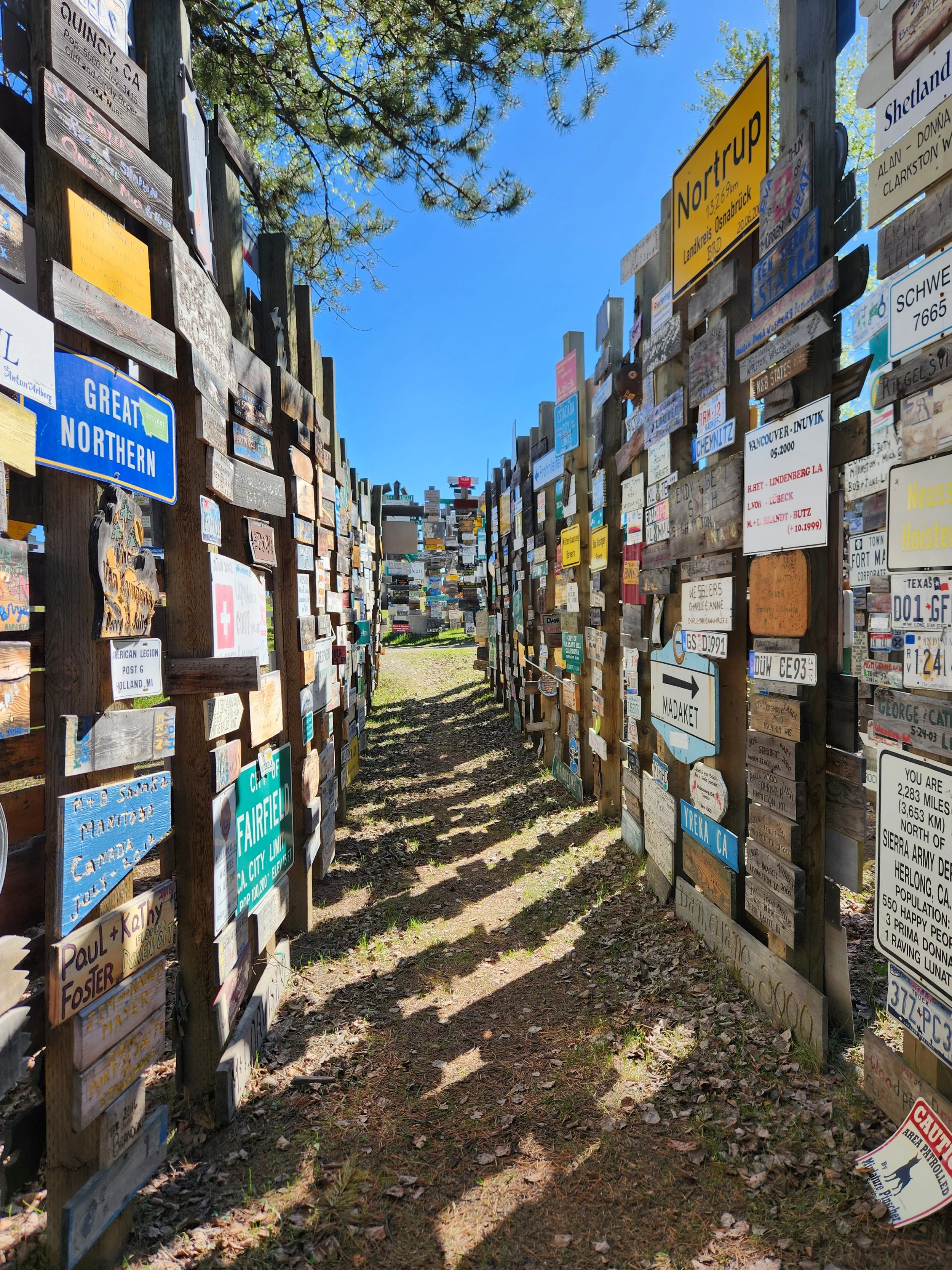 the Sign Post Forest, Yukon 