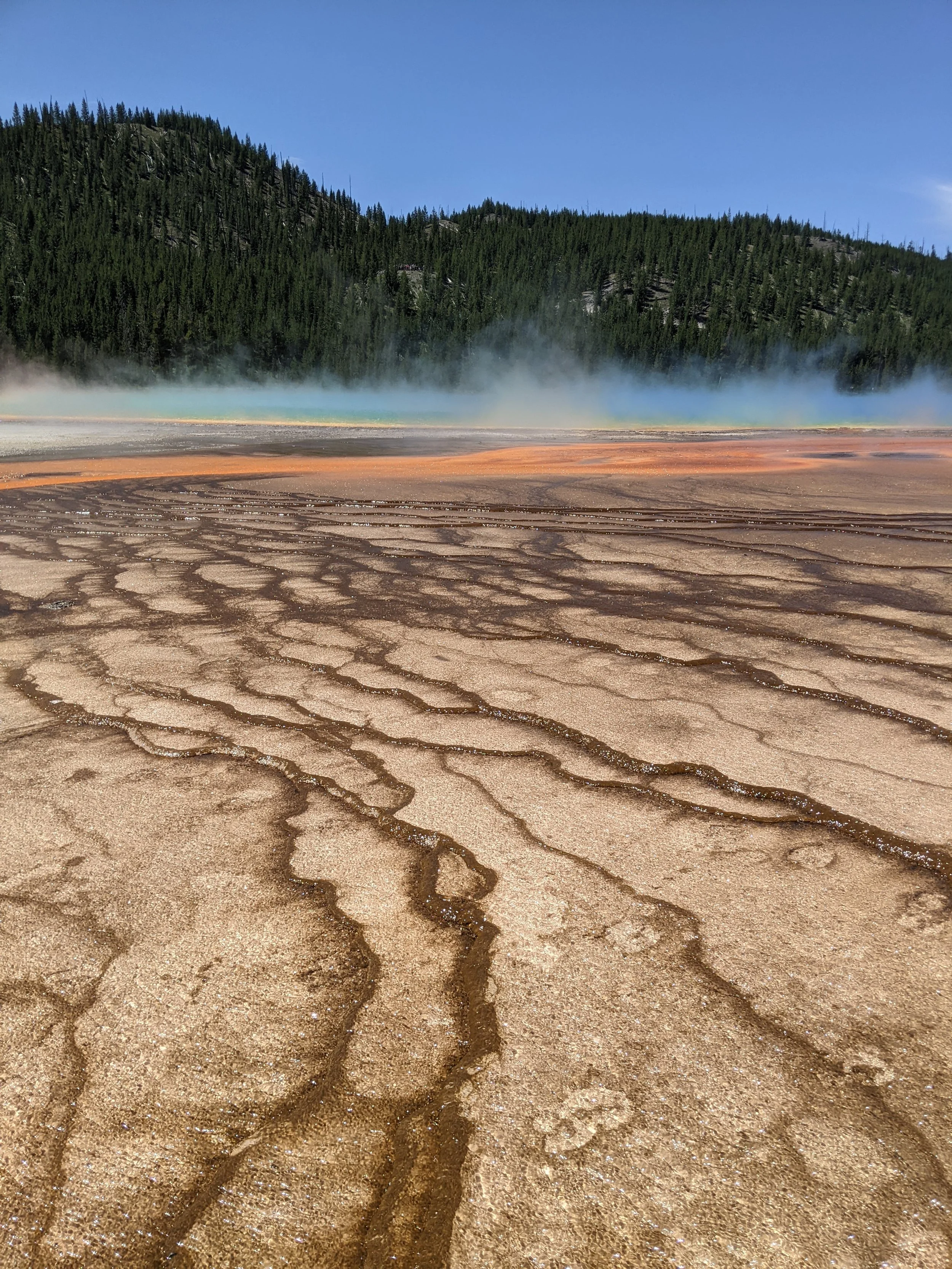 seeking out the cracks and cravasses