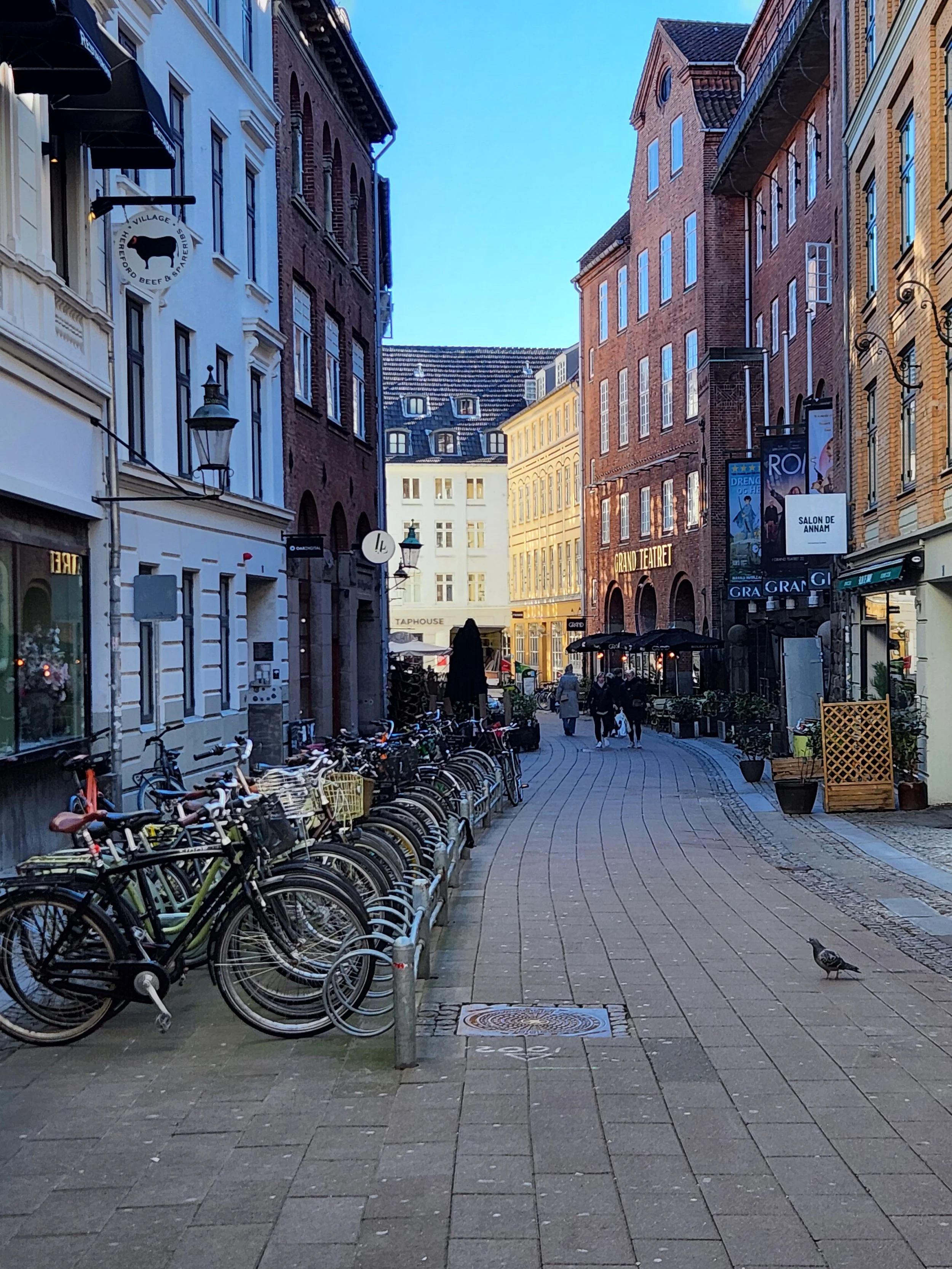 bikes instead of cars
