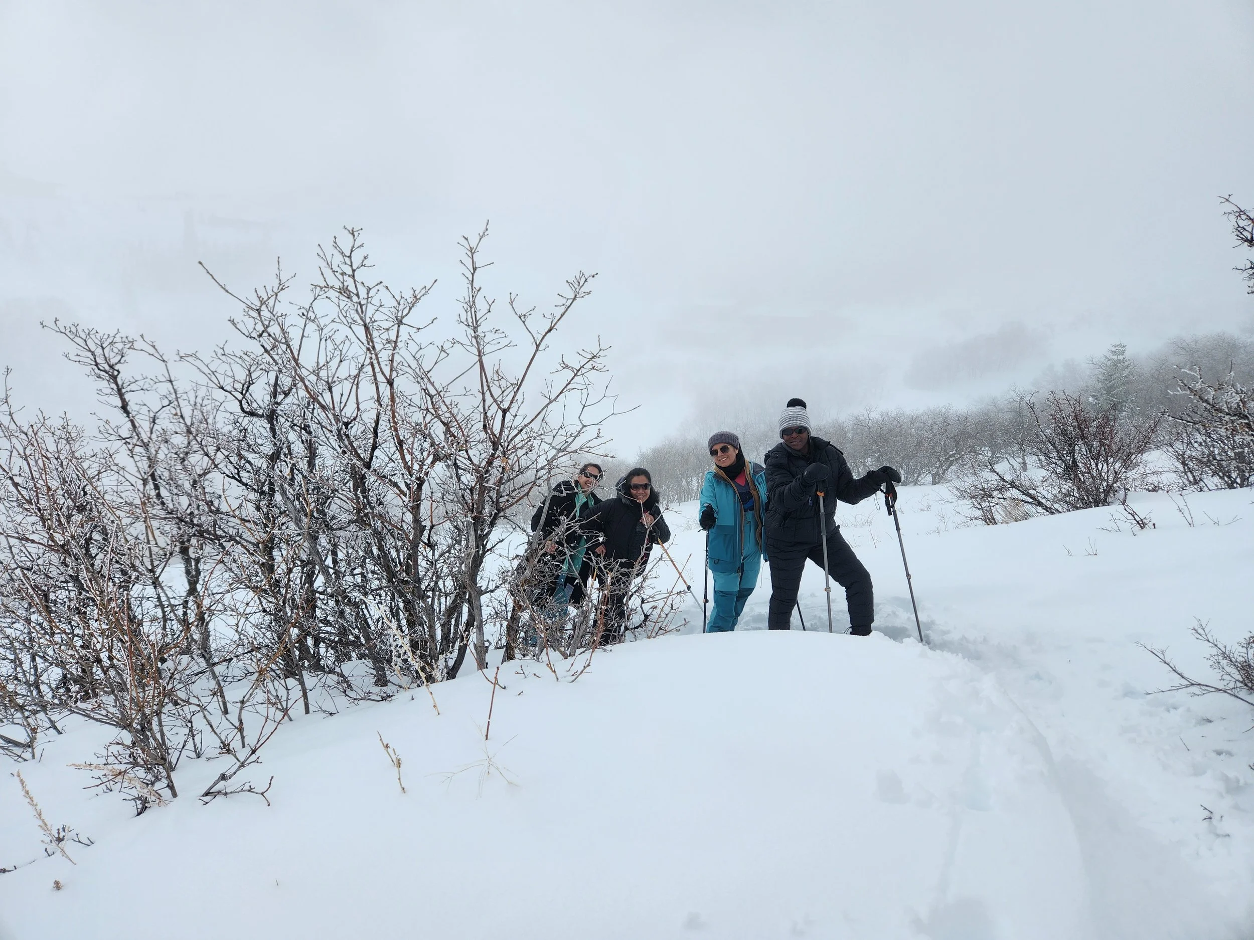 seeking solitude in the winter via snowshoes