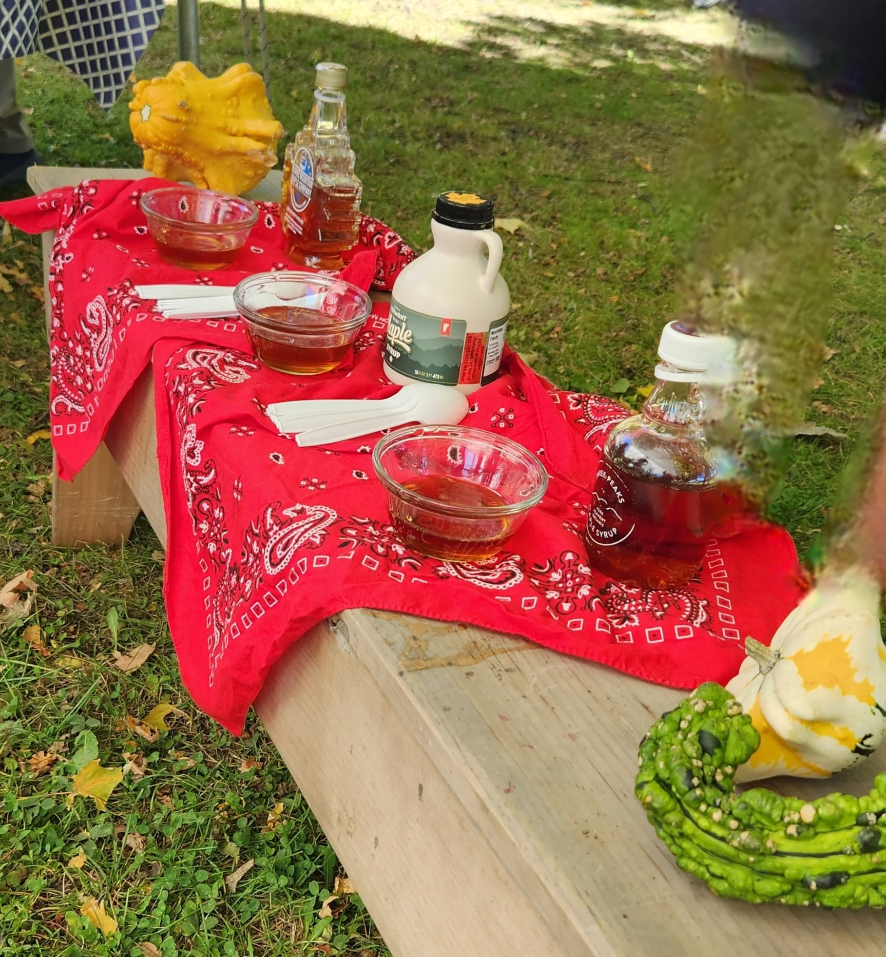 maple syrup tastings