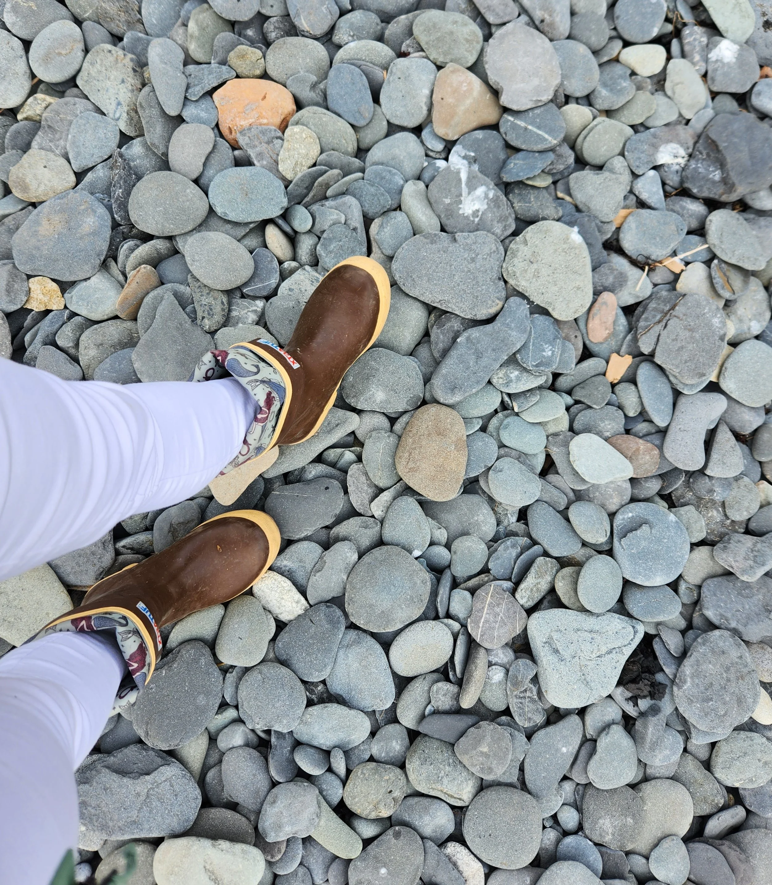 Low tide and Xtra Tufs, Alaskan staple for guides