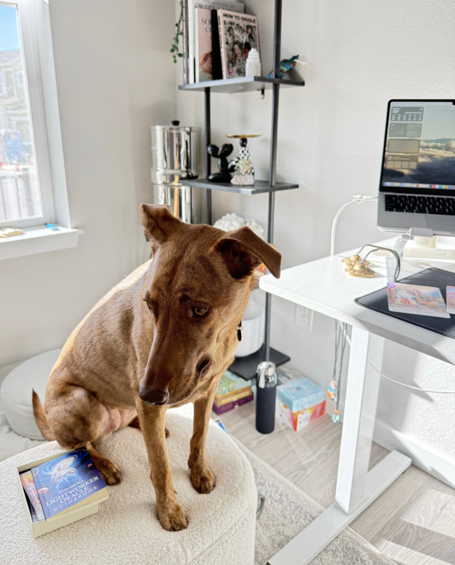 January Monthly Mantra: Training, Balance, and Staying Sane During a Full Season