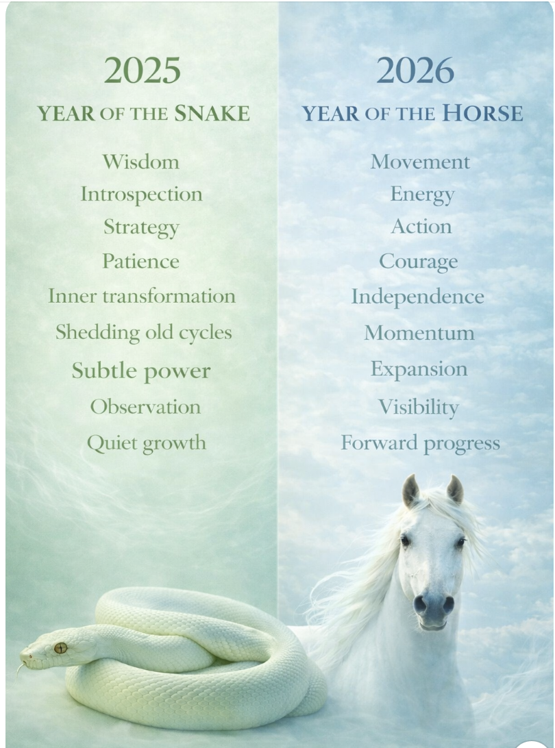 Comparison of 2025 Year of the Snake, emphasizing wisdom, patience, and quiet growth, with 2026 Year of the Horse, highlighting movement, energy, and progress. The background features a snake on the left and a white horse in a cloudy sky on the right.