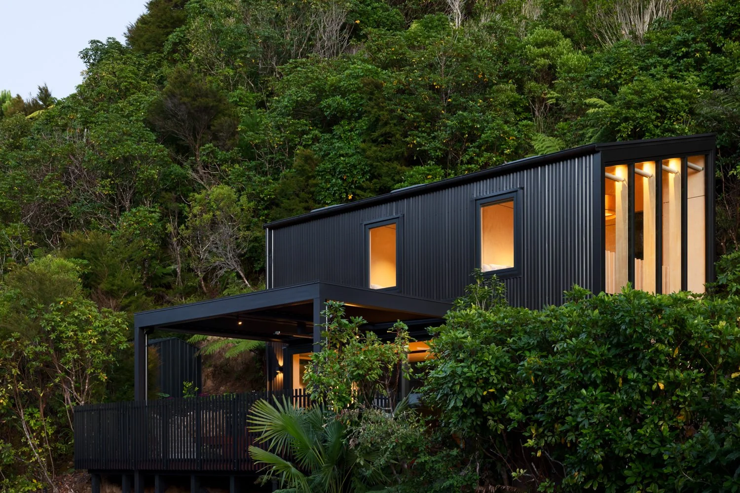 Modern black house with large illuminated windows, built on a hillside surrounded by lush green trees.