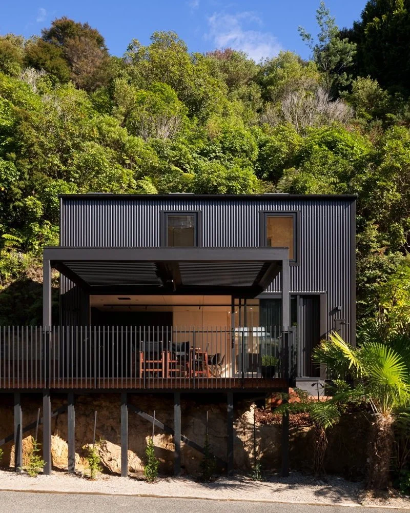 Modern black house with a metal exterior, large windows, and a covered patio, surrounded by lush green trees and plants.