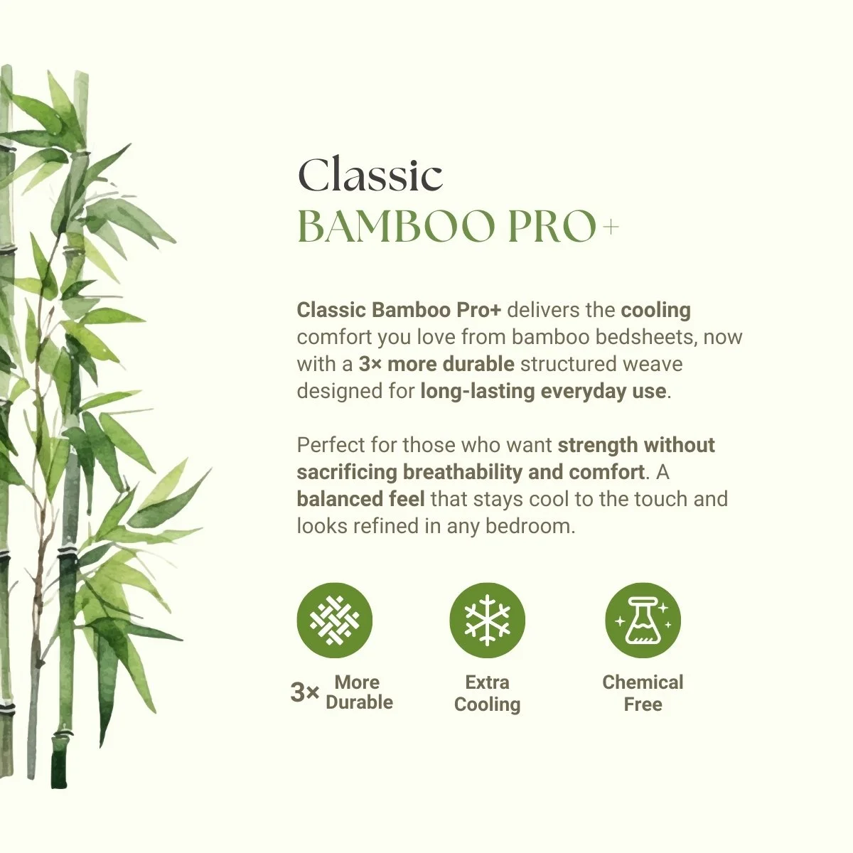 Bamboo Pro + Description.jpg (Copy) (Copy) (Copy) (Copy) (Copy) (Copy) (Copy)