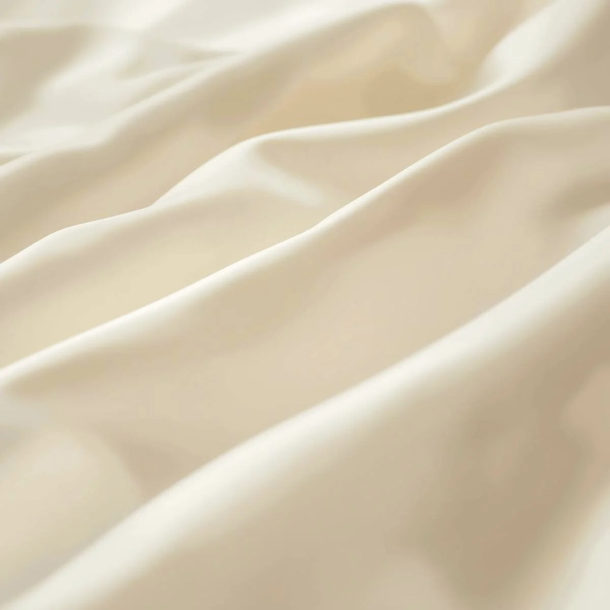 2001 Ivory - Closeup (2).jpg (Copy)