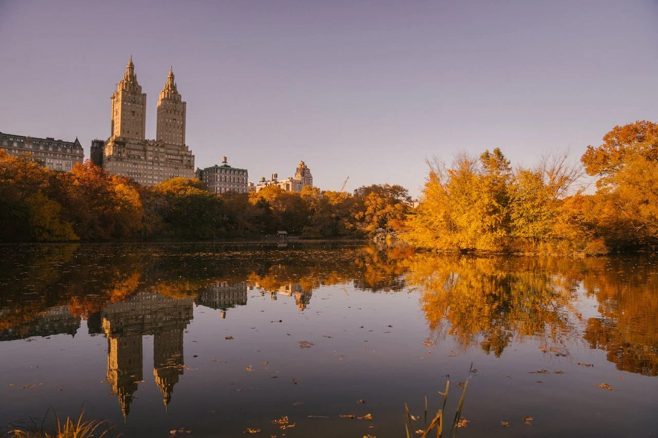 Central Park, New York