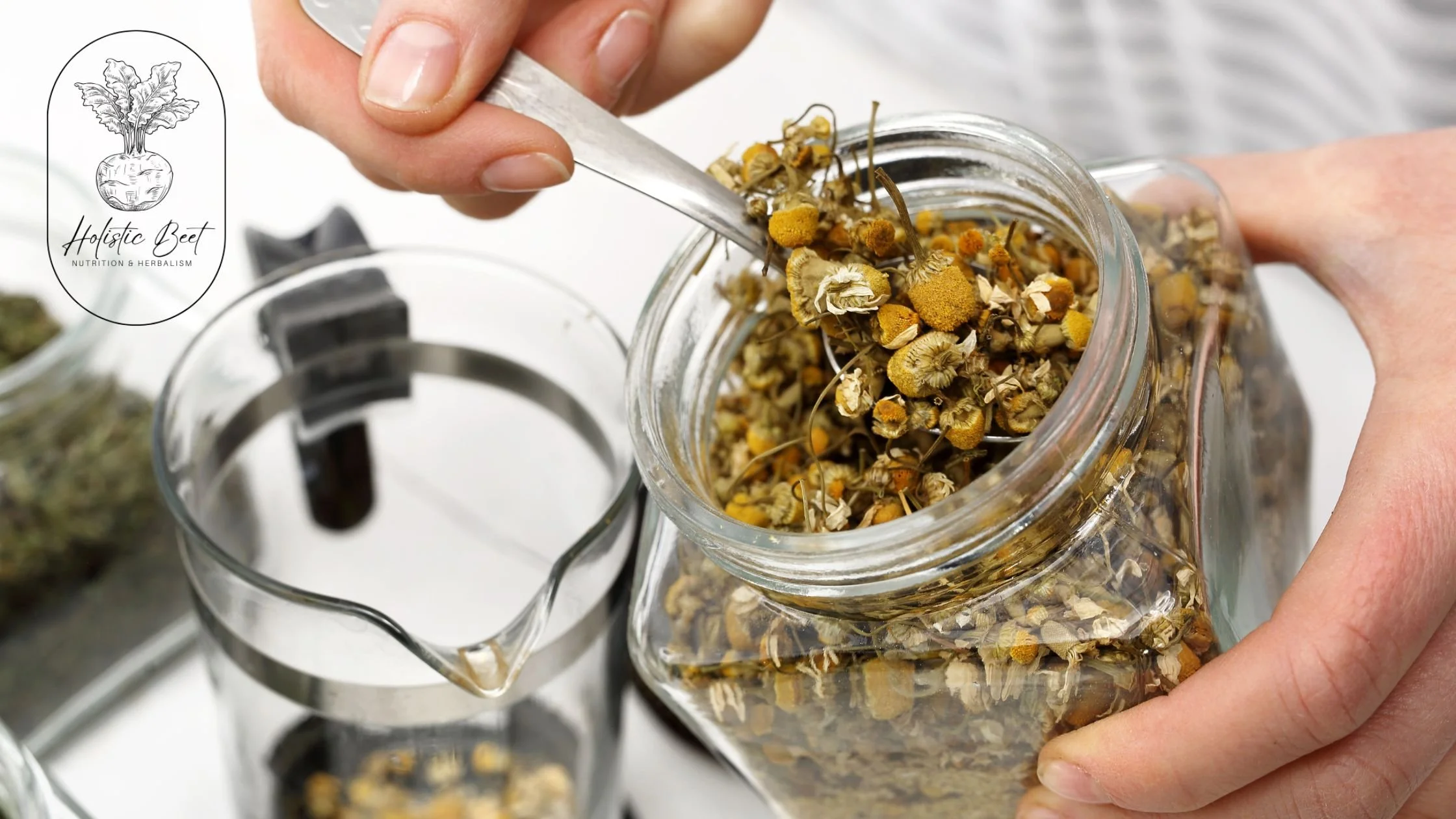 The Ultimate Guide to Steeping Herbal Teas — Holistic Beet
