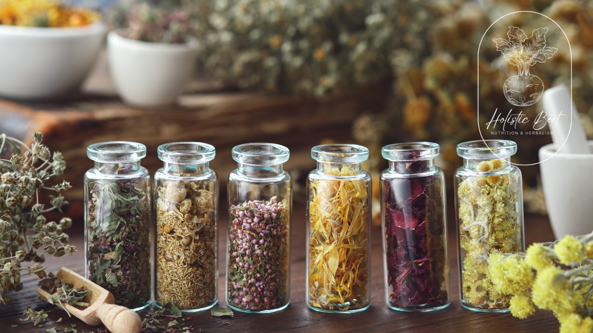 nutrition consulting
